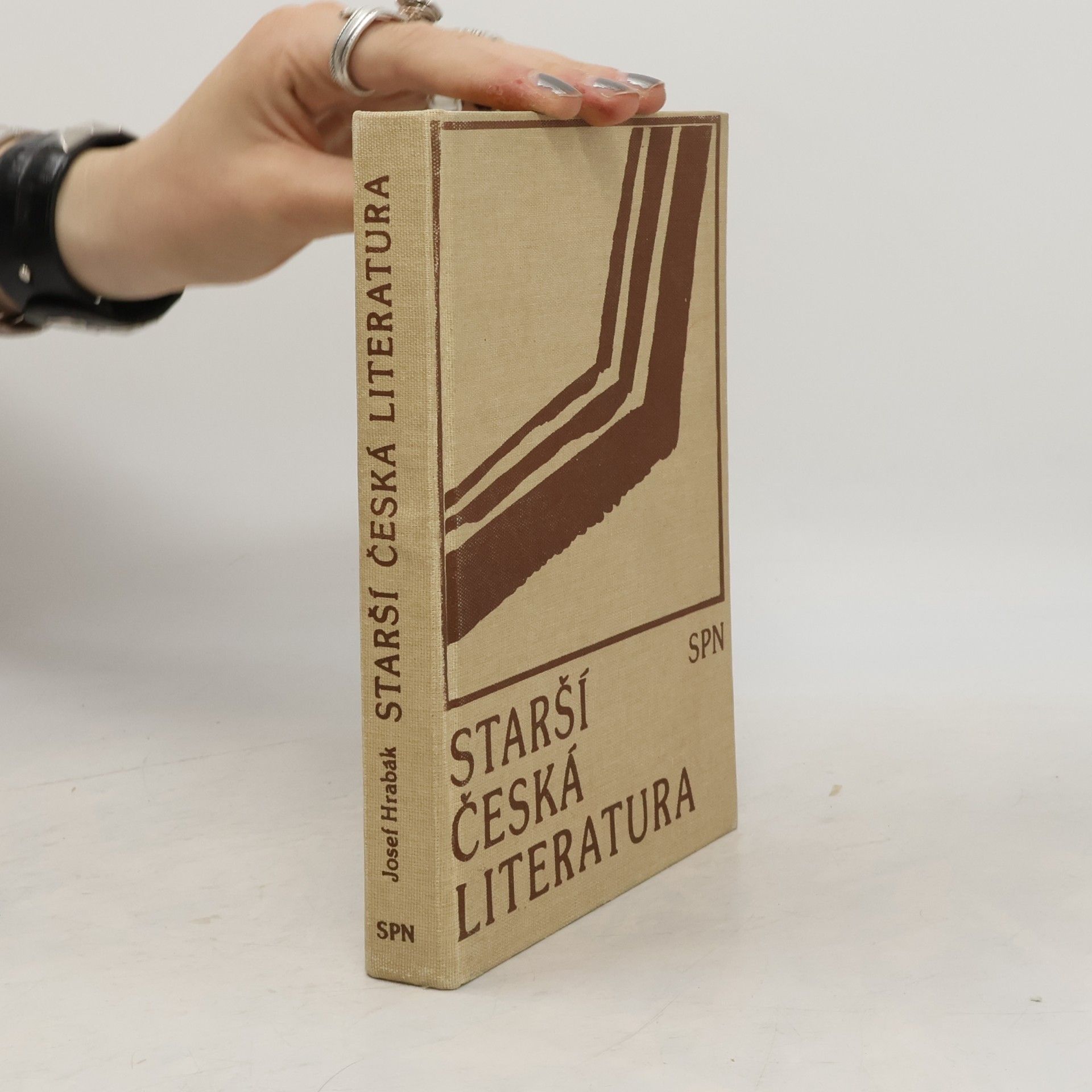 Starší česká literatura. Úvod do studia