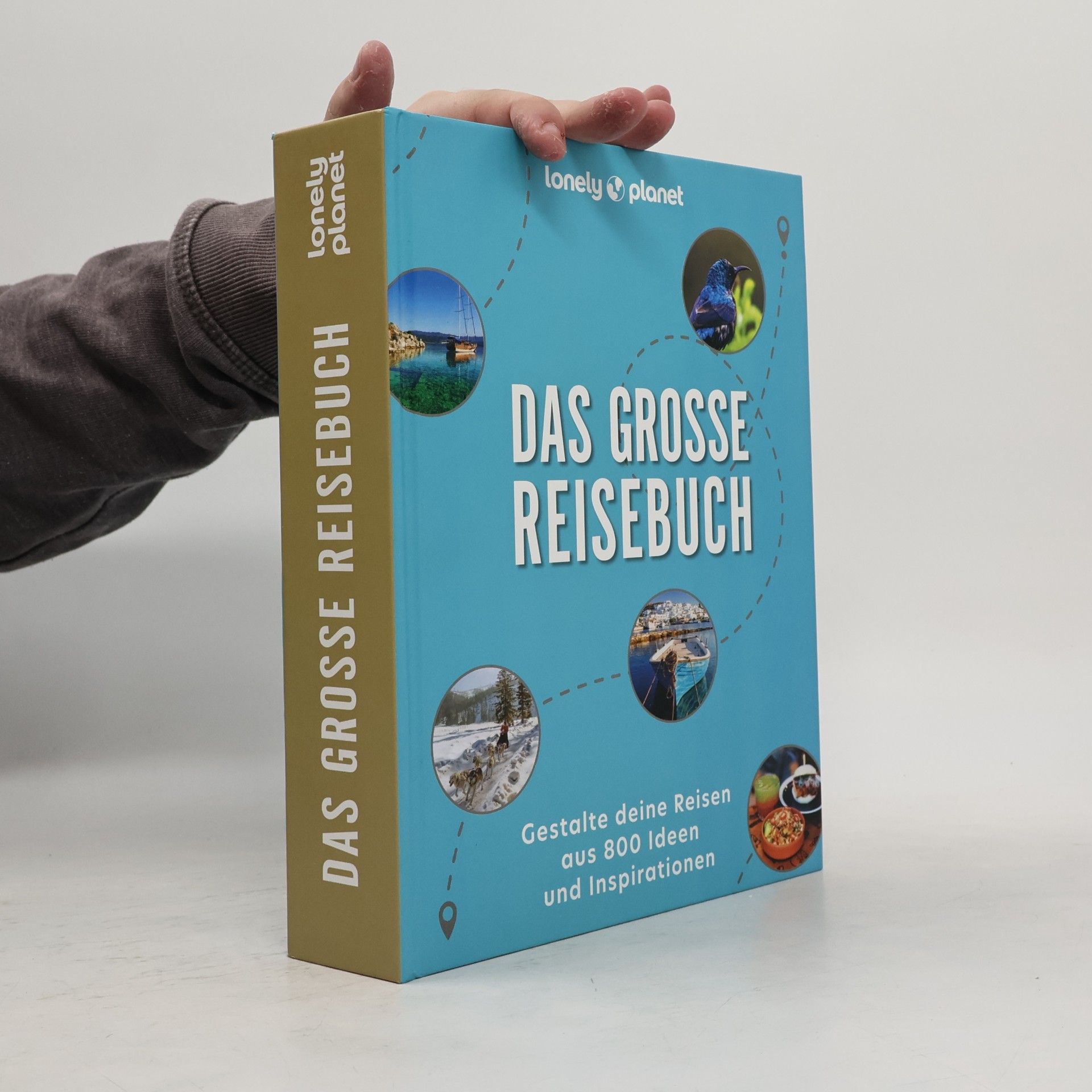Das große Reisebuch