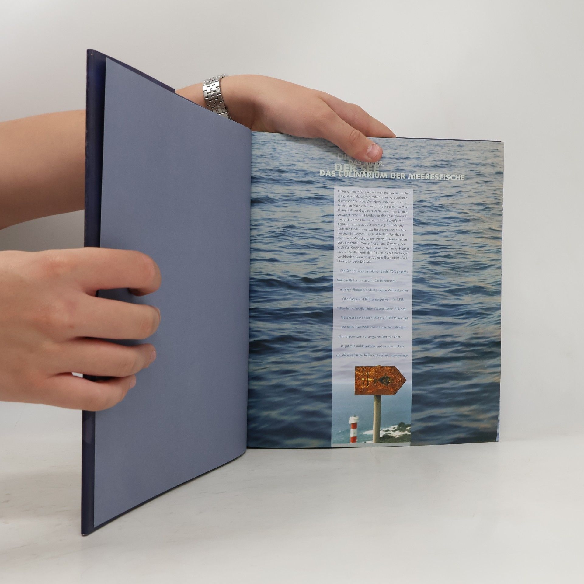 Thomas Ruhl Die See