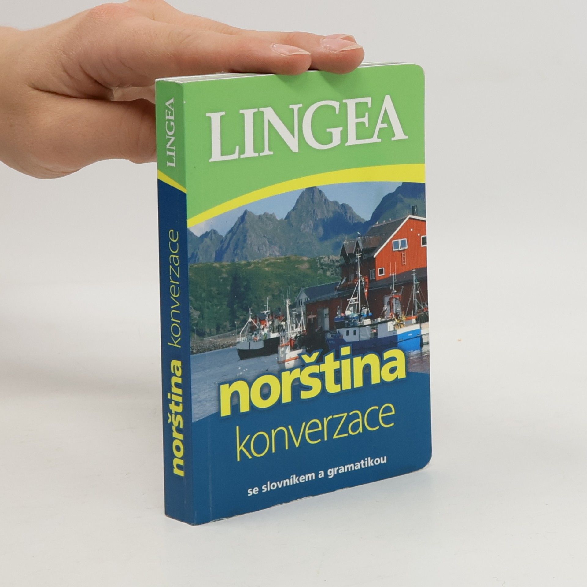 Collectif d'auteurs Norština. Konverzace