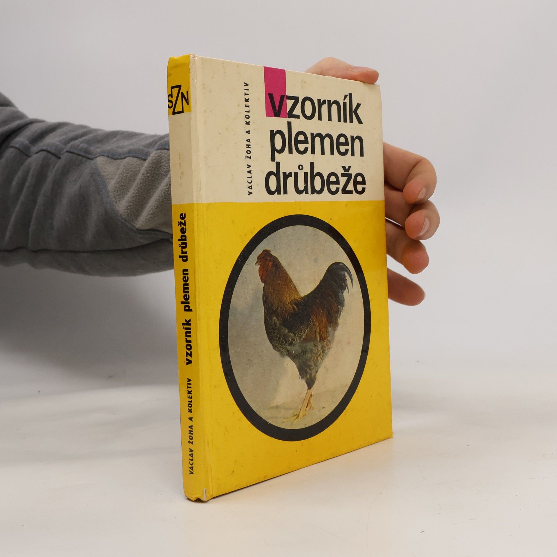 Vzorník plemen drůbeže
