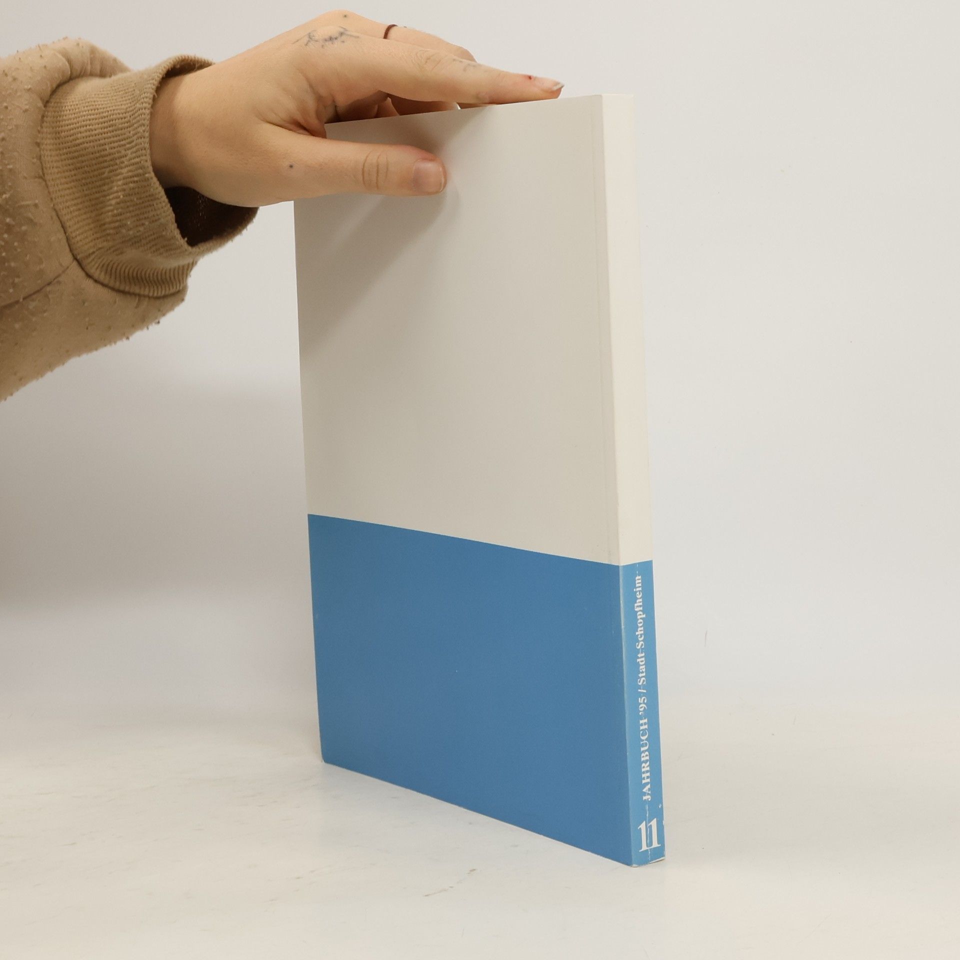 Autorenkollektiv Jahrbuch ’95. Stadt Schopfheim