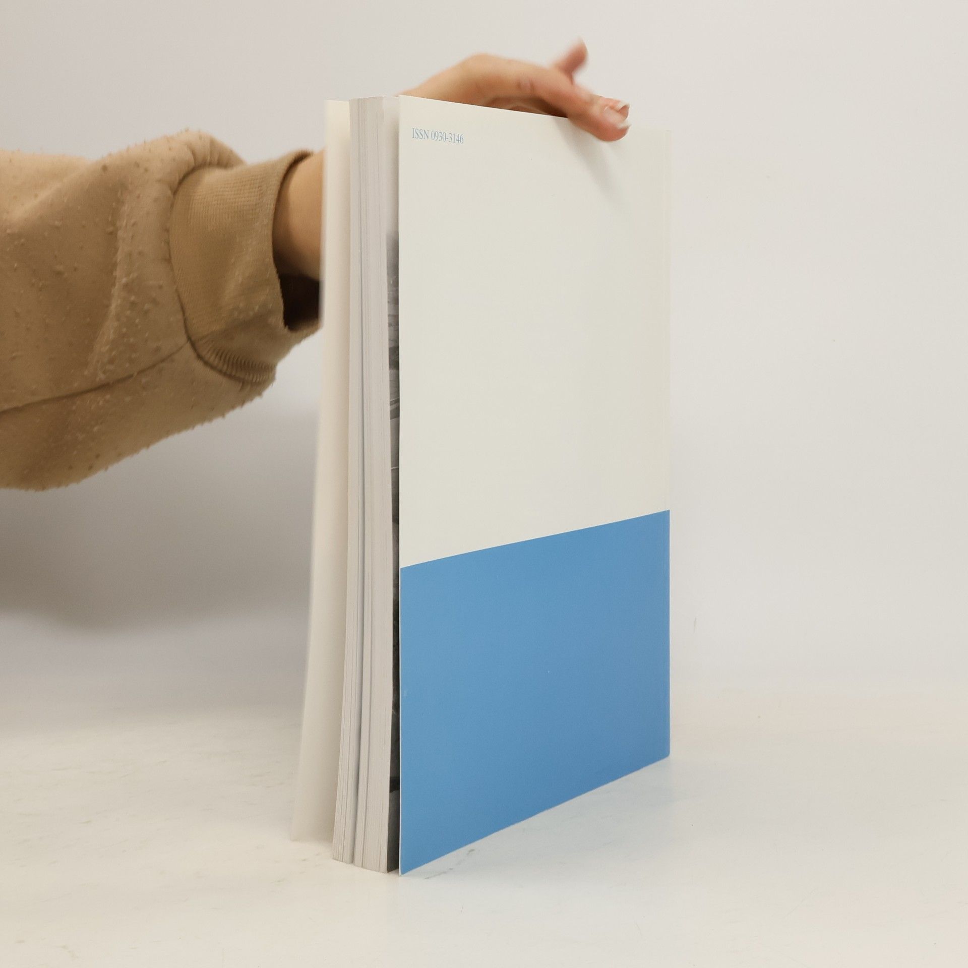 Autorenkollektiv Jahrbuch ’95. Stadt Schopfheim