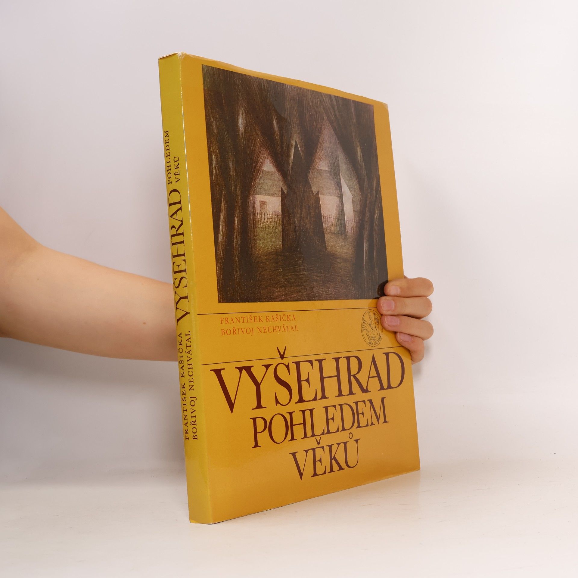 Vyšehrad pohledem věků
