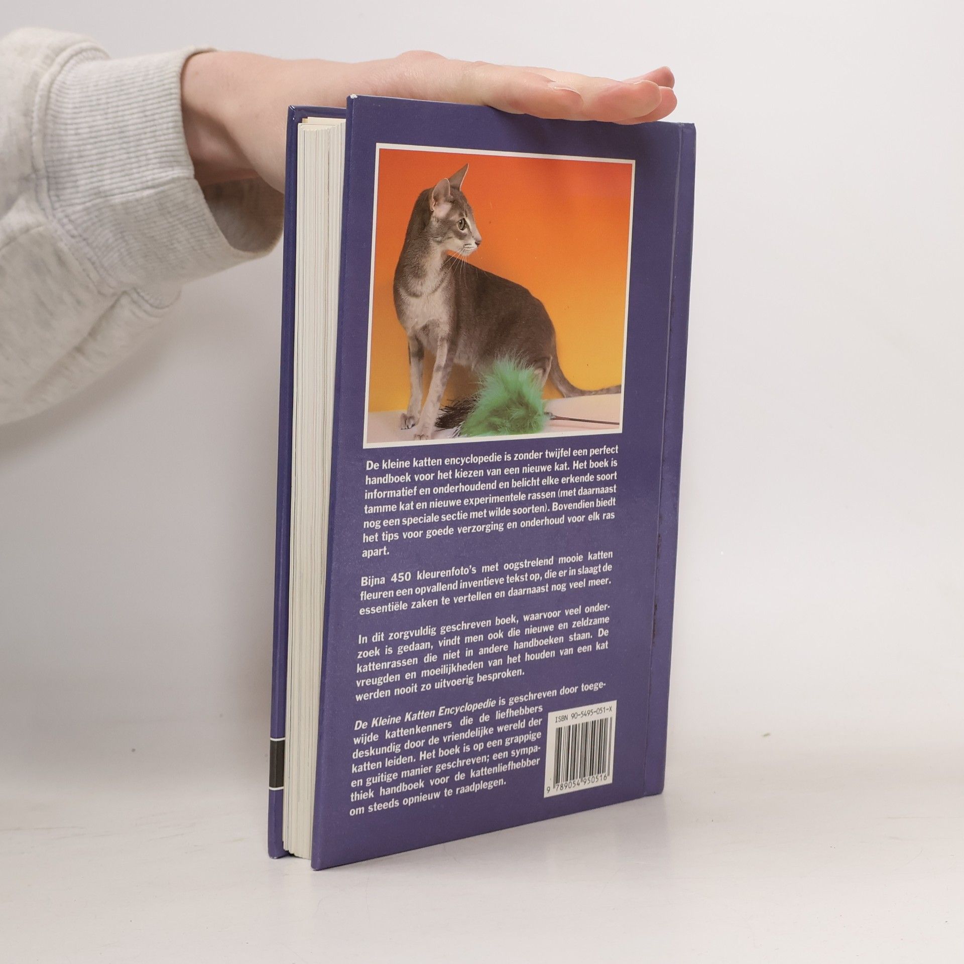 Unknown Author KLEINE KATTEN ENCYCLOPEDIE, DE