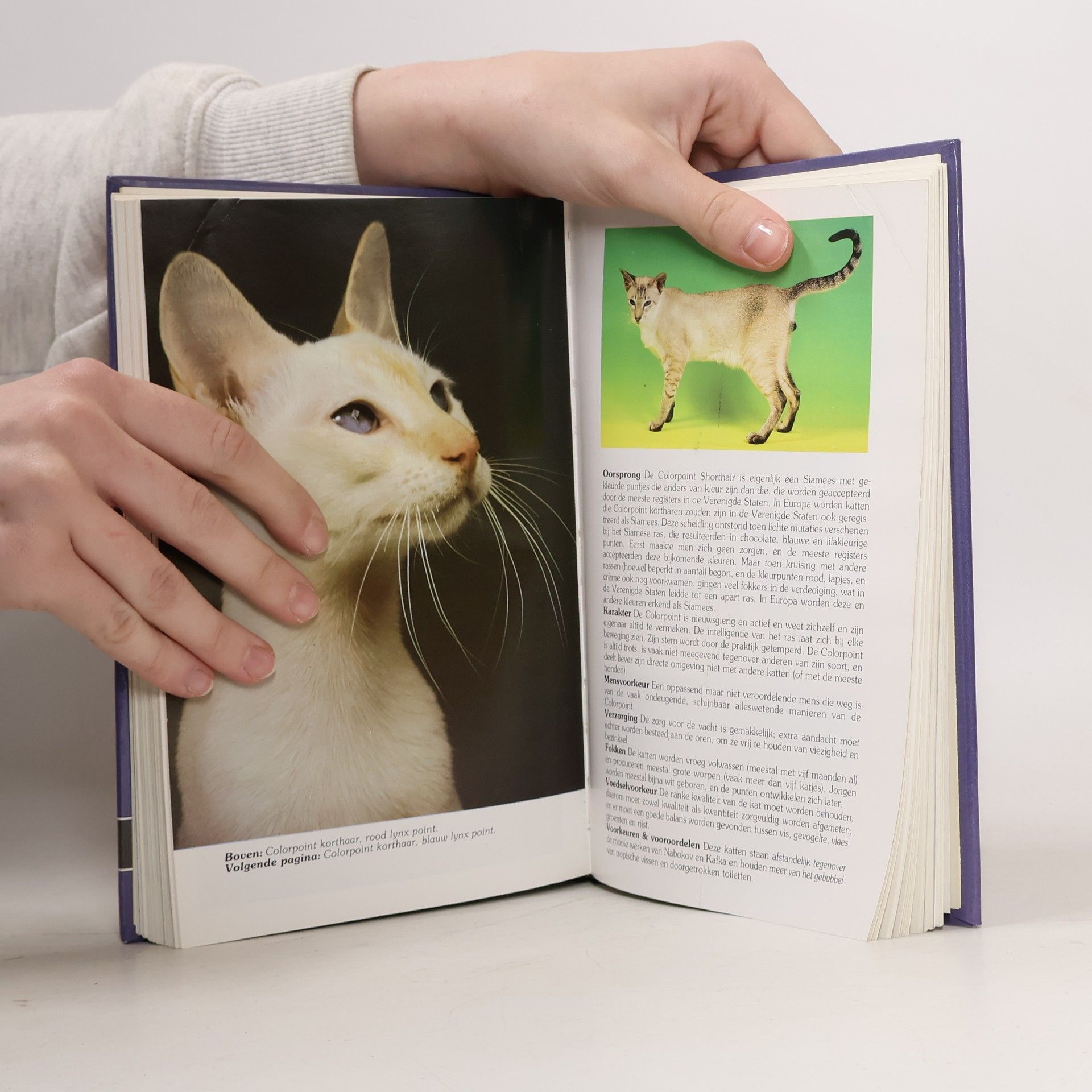 Unknown Author KLEINE KATTEN ENCYCLOPEDIE, DE