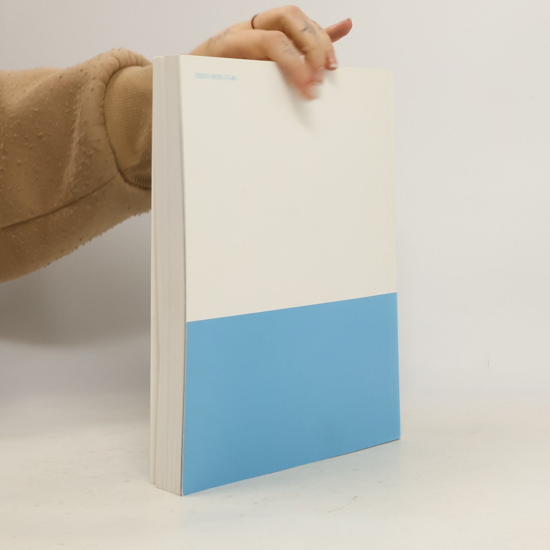 Autorenkollektiv Jahrbuch '99. Stadt Schopfheim