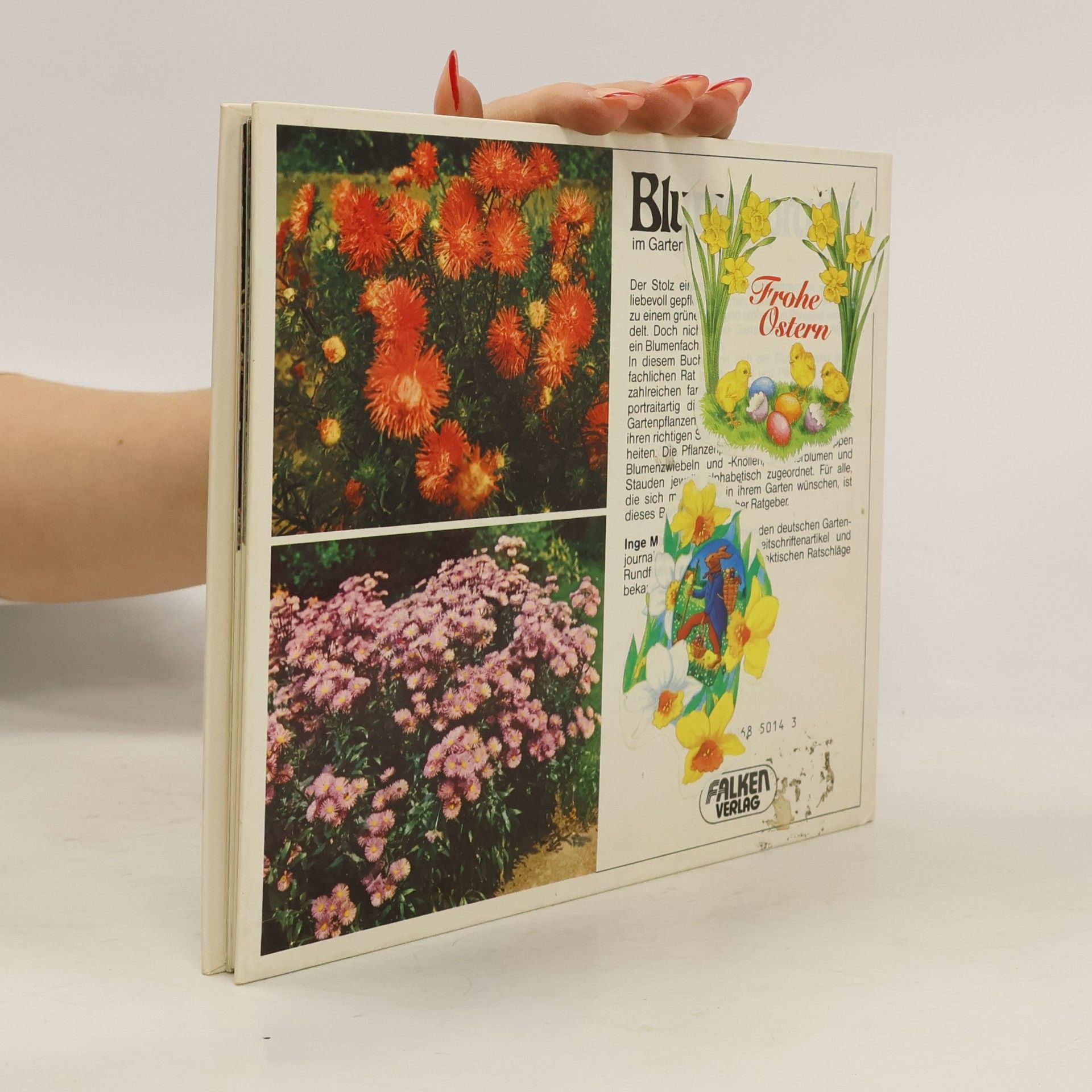 Inge Manz Blumenpracht im Garten