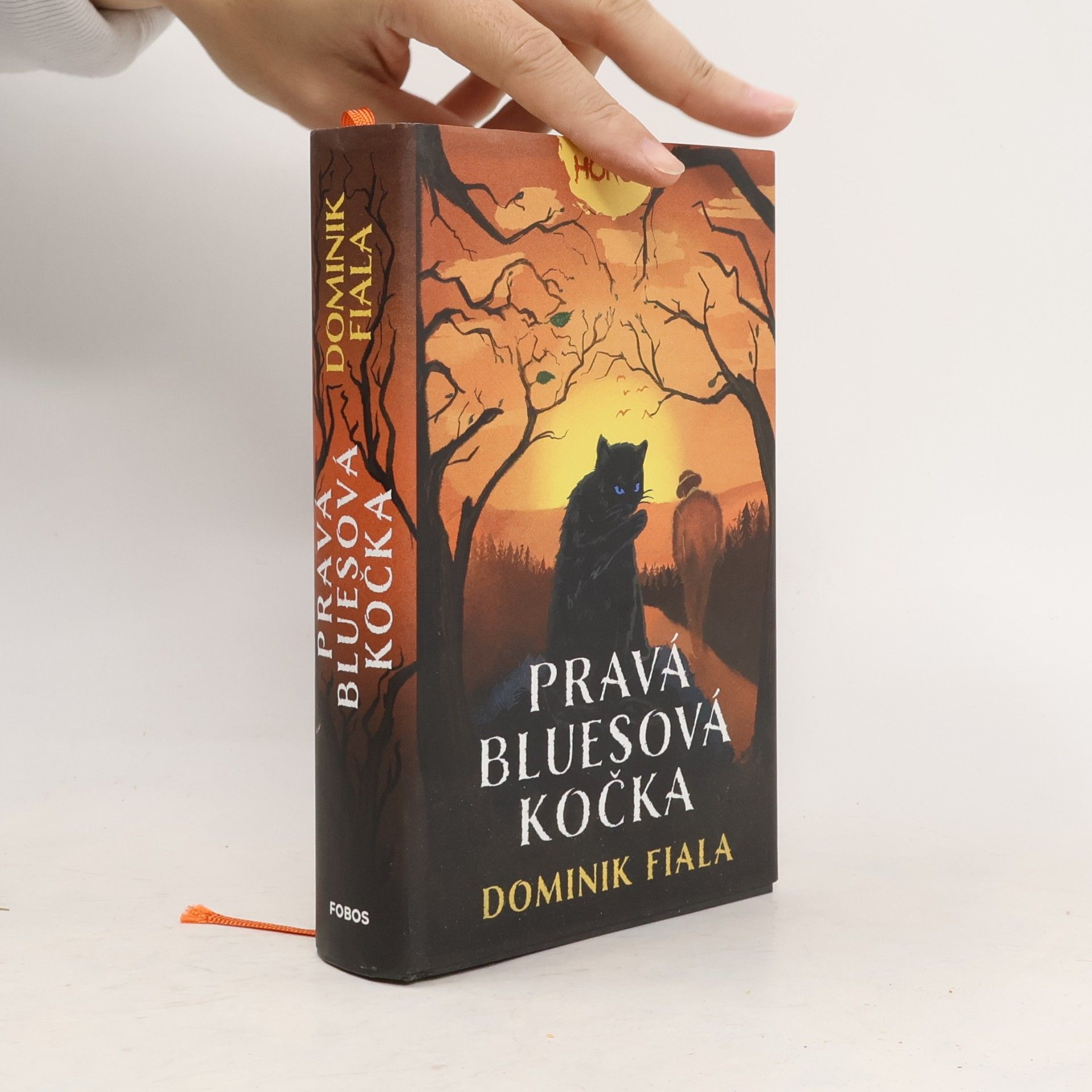 Pravá bluesová kočka