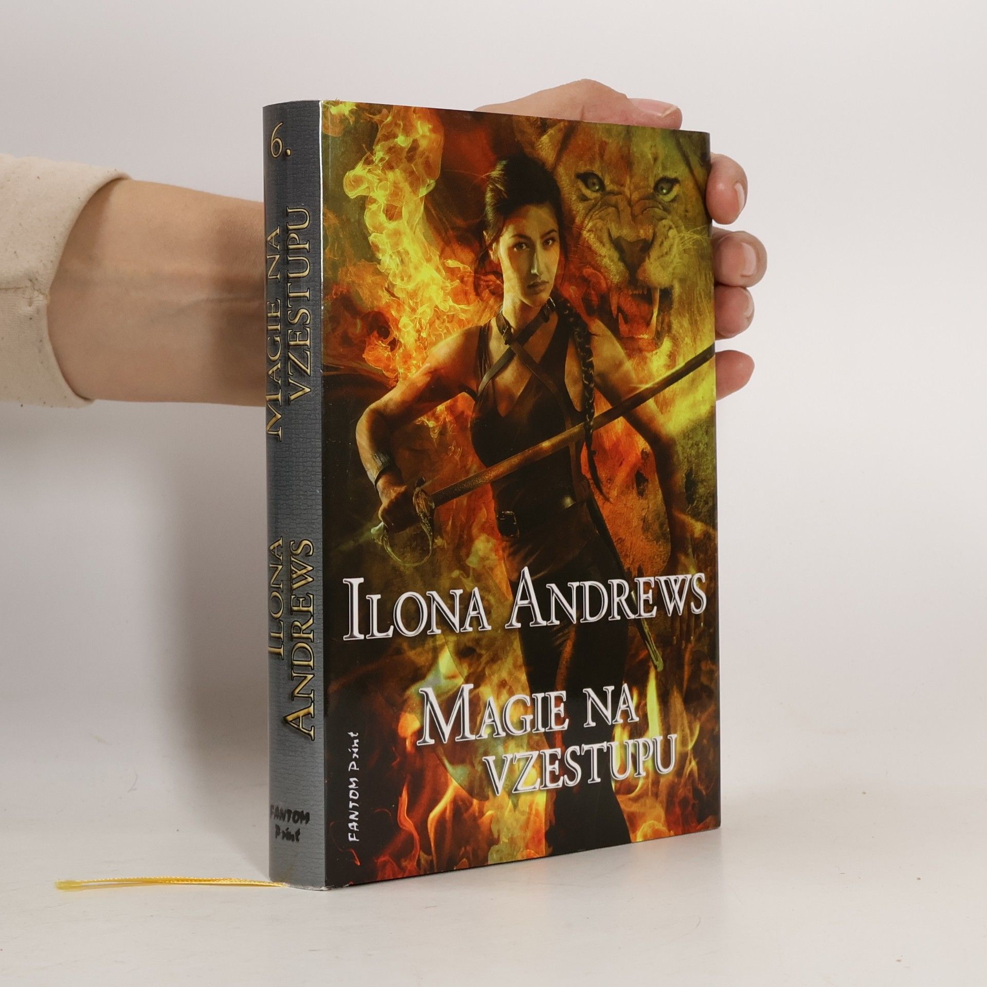 Ilona Andrews Magie na vzestupu