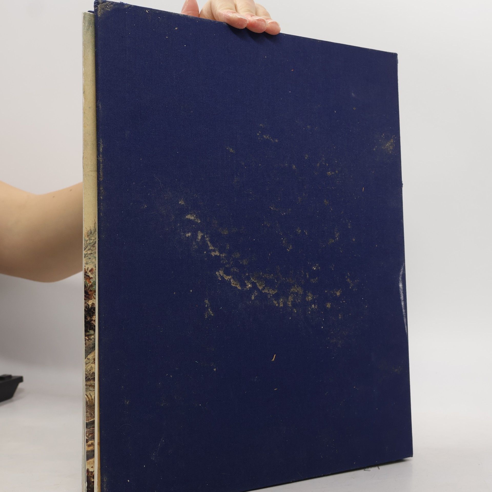 Various authors Ach Lieve Tijd