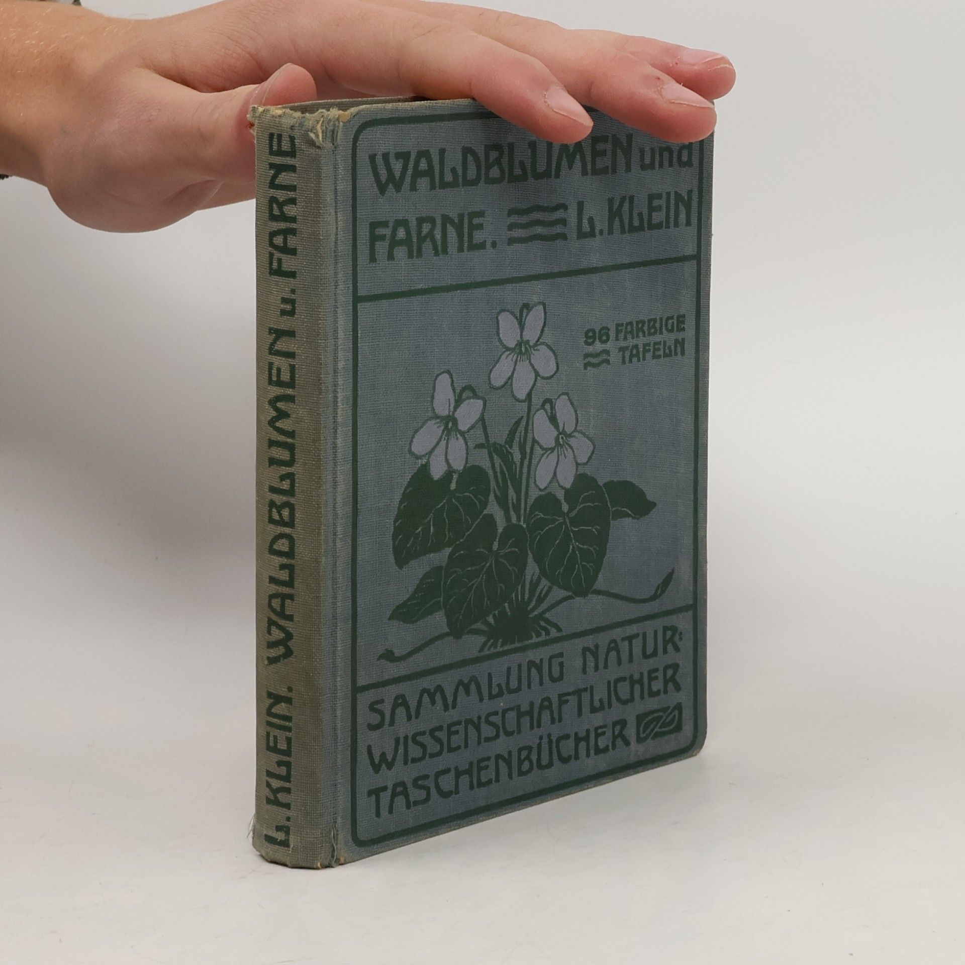 Unfere Waldblumen und Farnewächte
