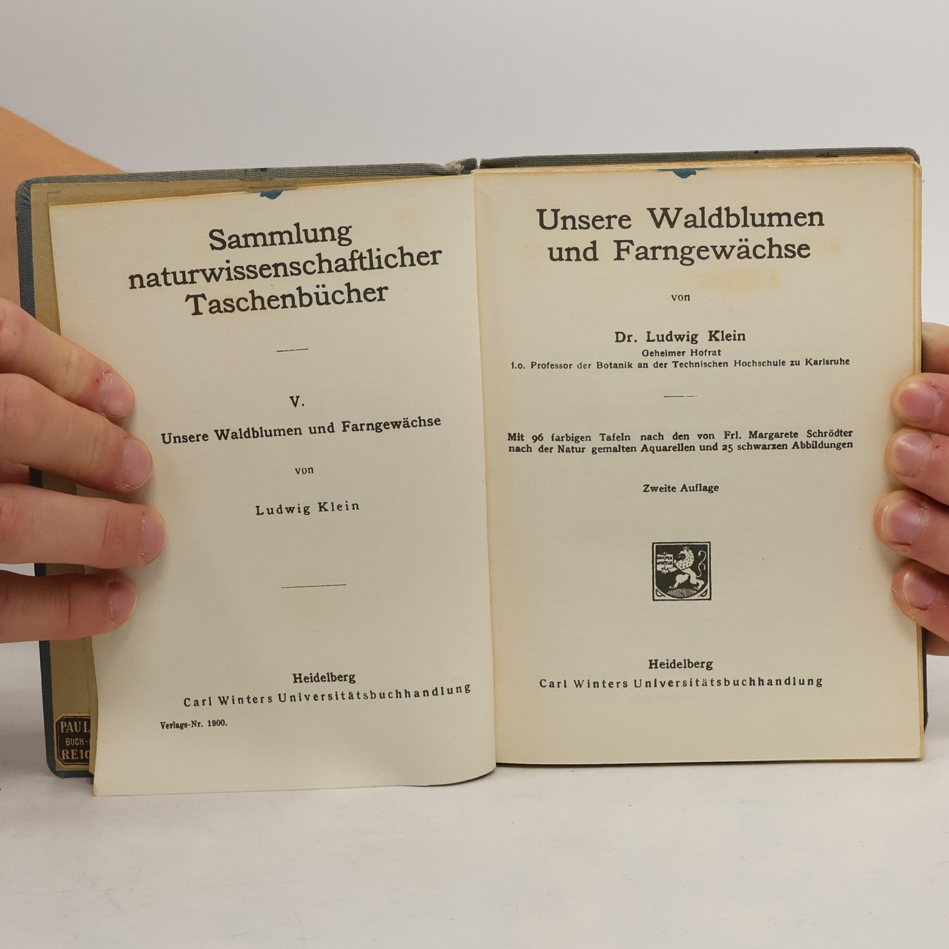 Ludwig Klein Unfere Waldblumen und Farnewächte