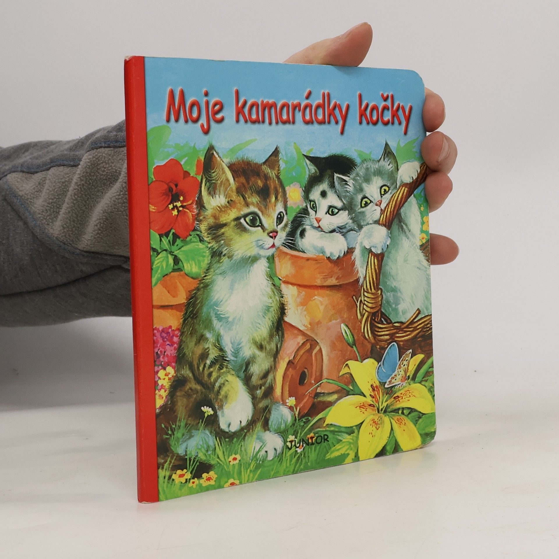 Moje kamarádky kočky
