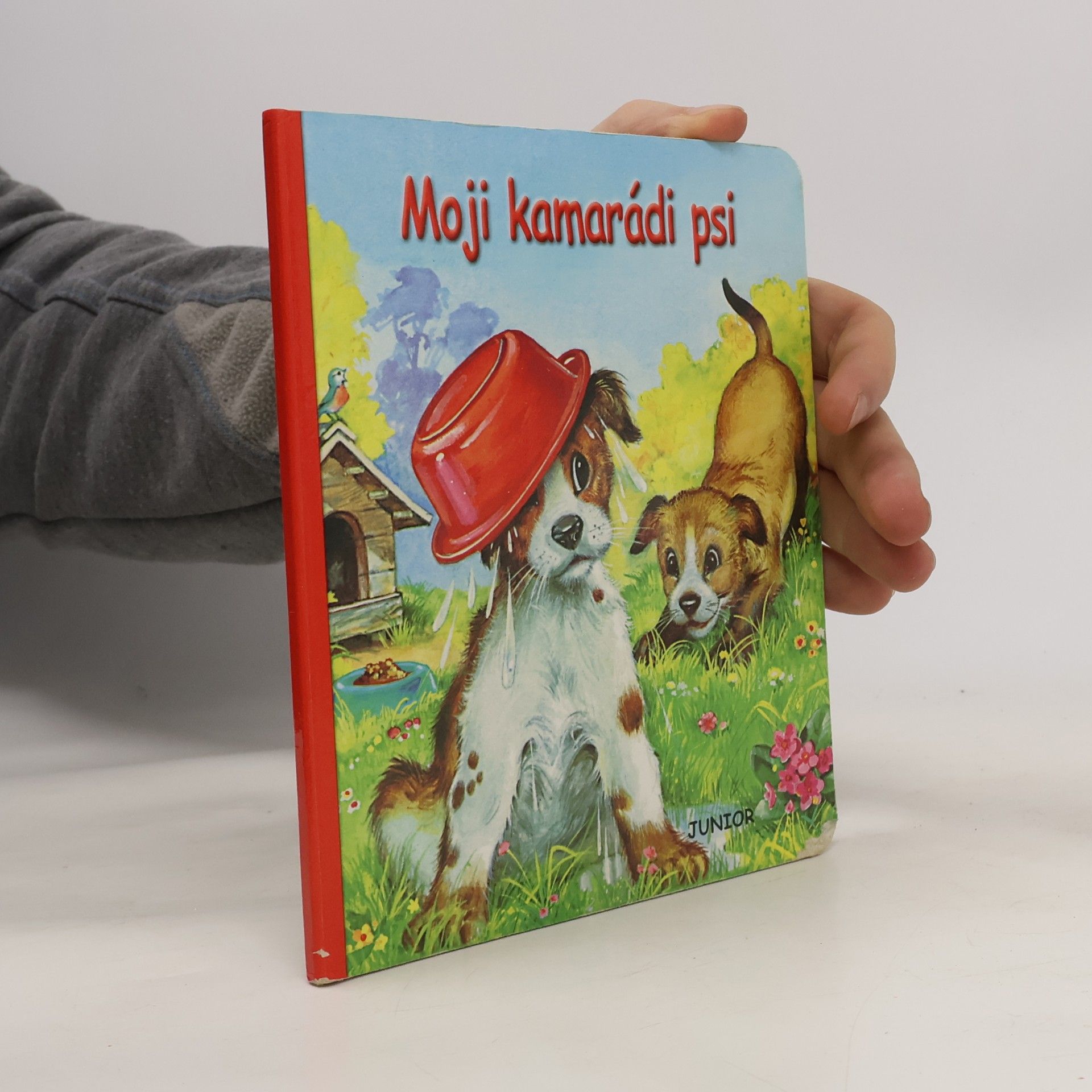 Moji kamarádi psi