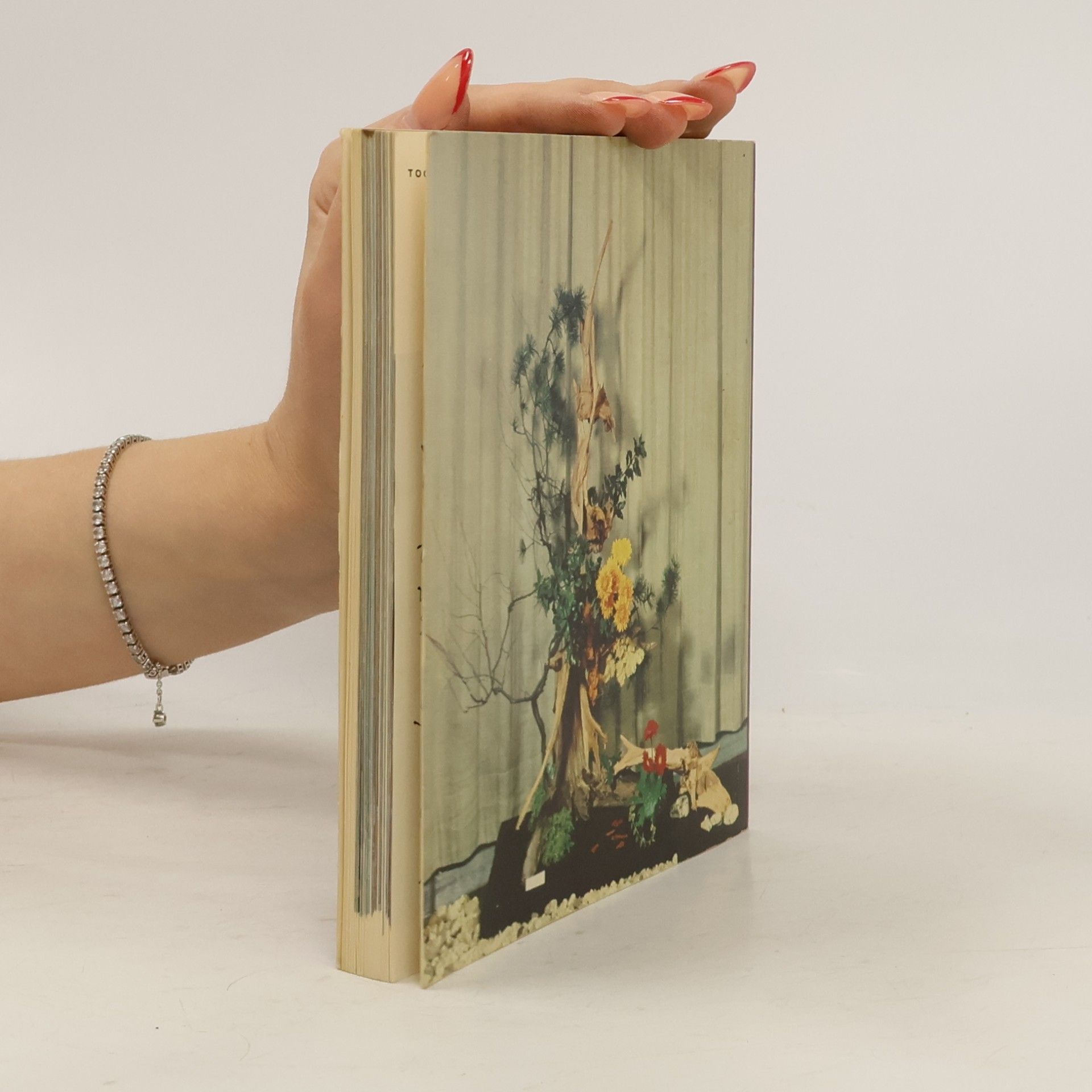 Various authors Ikebana. Kunst-Lehrbuch