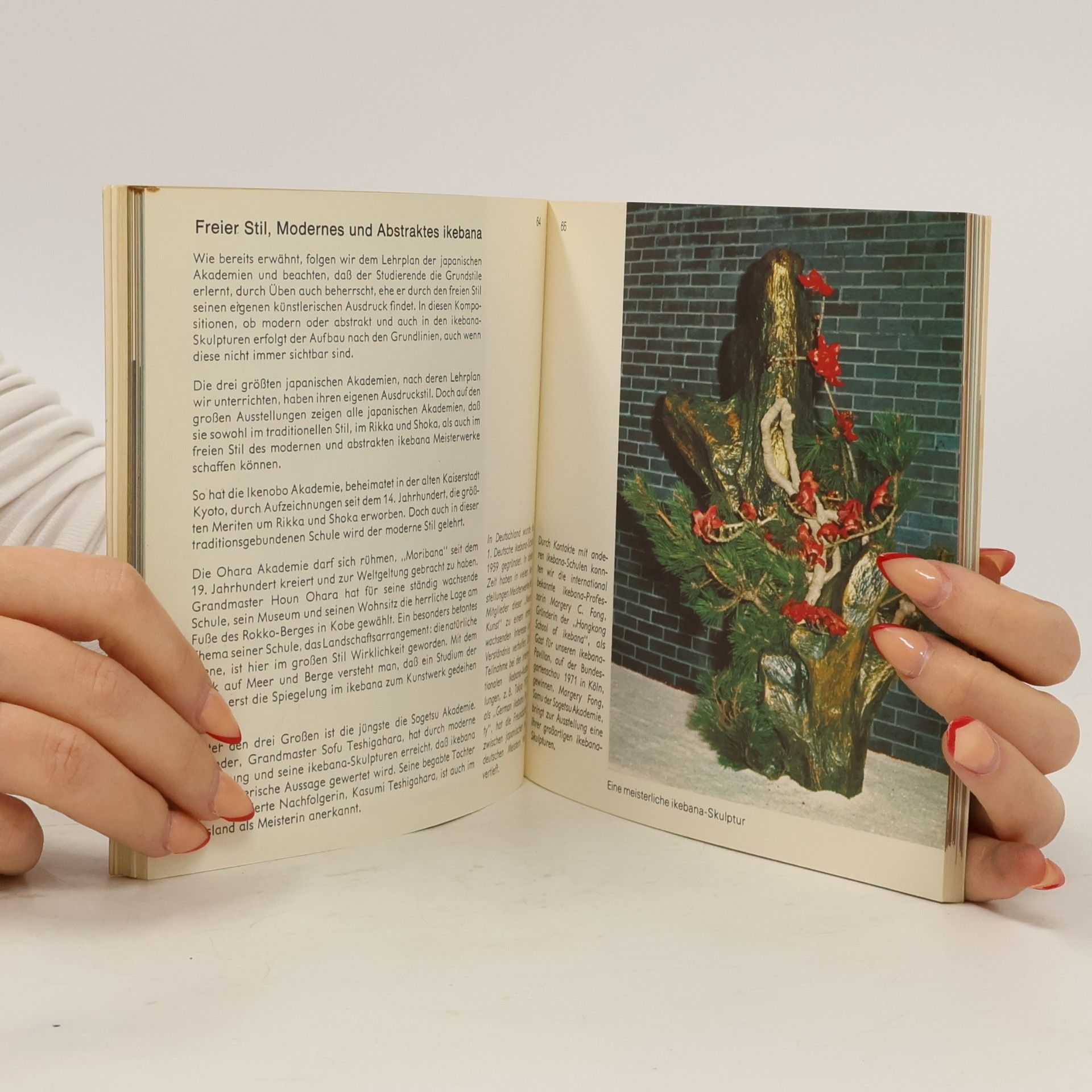 Various authors Ikebana. Kunst-Lehrbuch