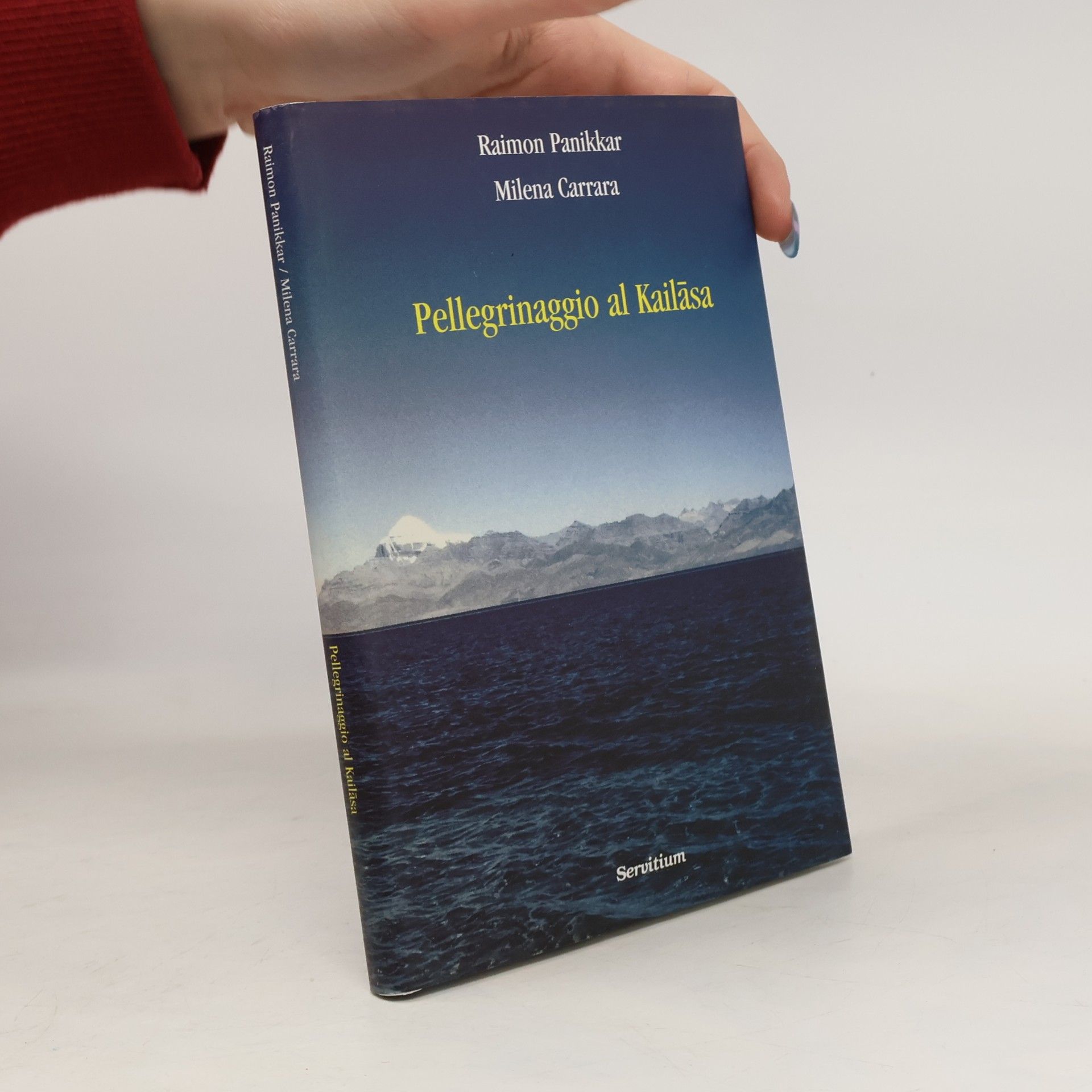 Pellegrinaggio a Kailasa
