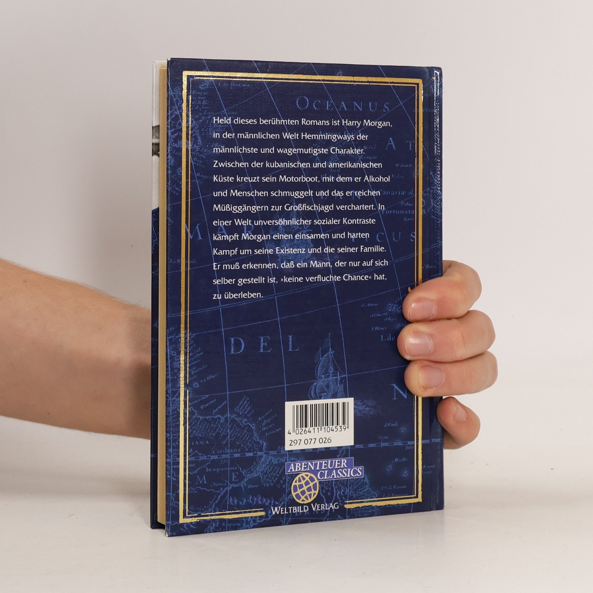 Ernest Hemingway Haben und Nichthaben
