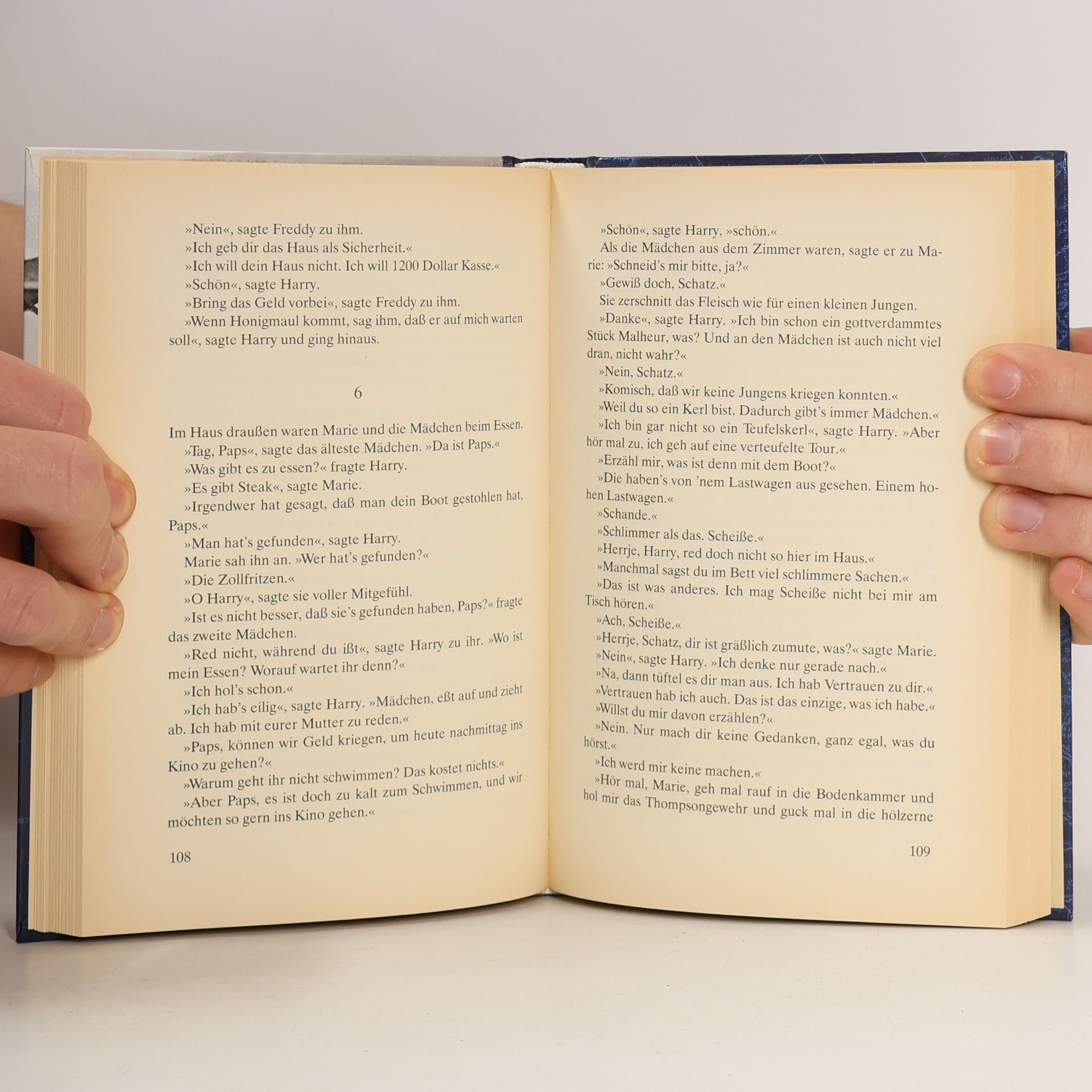 Ernest Hemingway Haben und Nichthaben