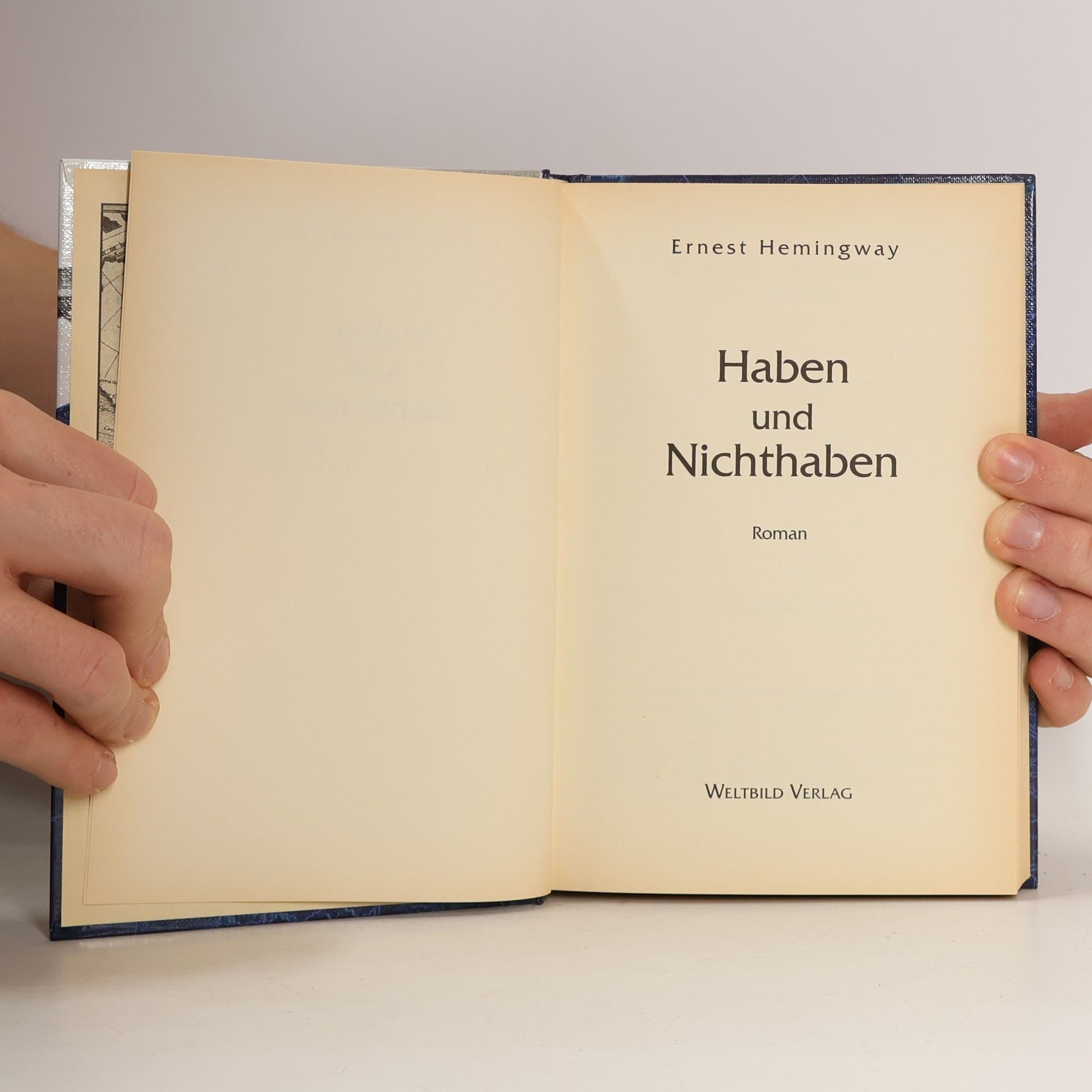 Ernest Hemingway Haben und Nichthaben