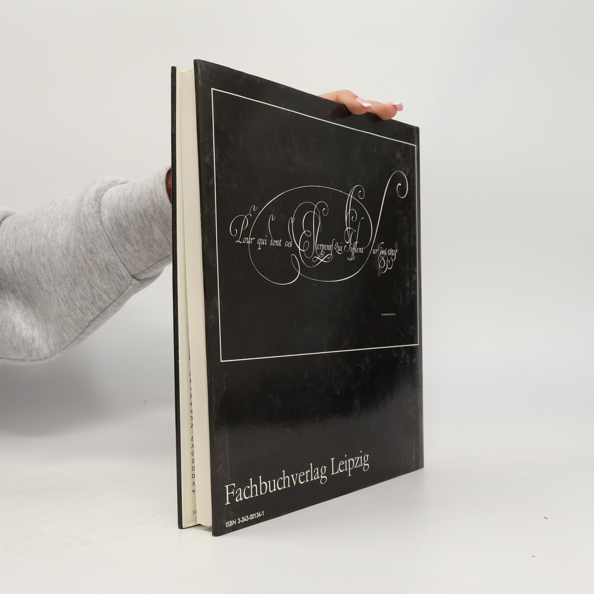 Hildegard Korger Schrift und Schreiben. Ein Fachbuch für alle, die mit dem Schreiben und Zeichnen von Schriften und ihrer Anwendung zu tun haben