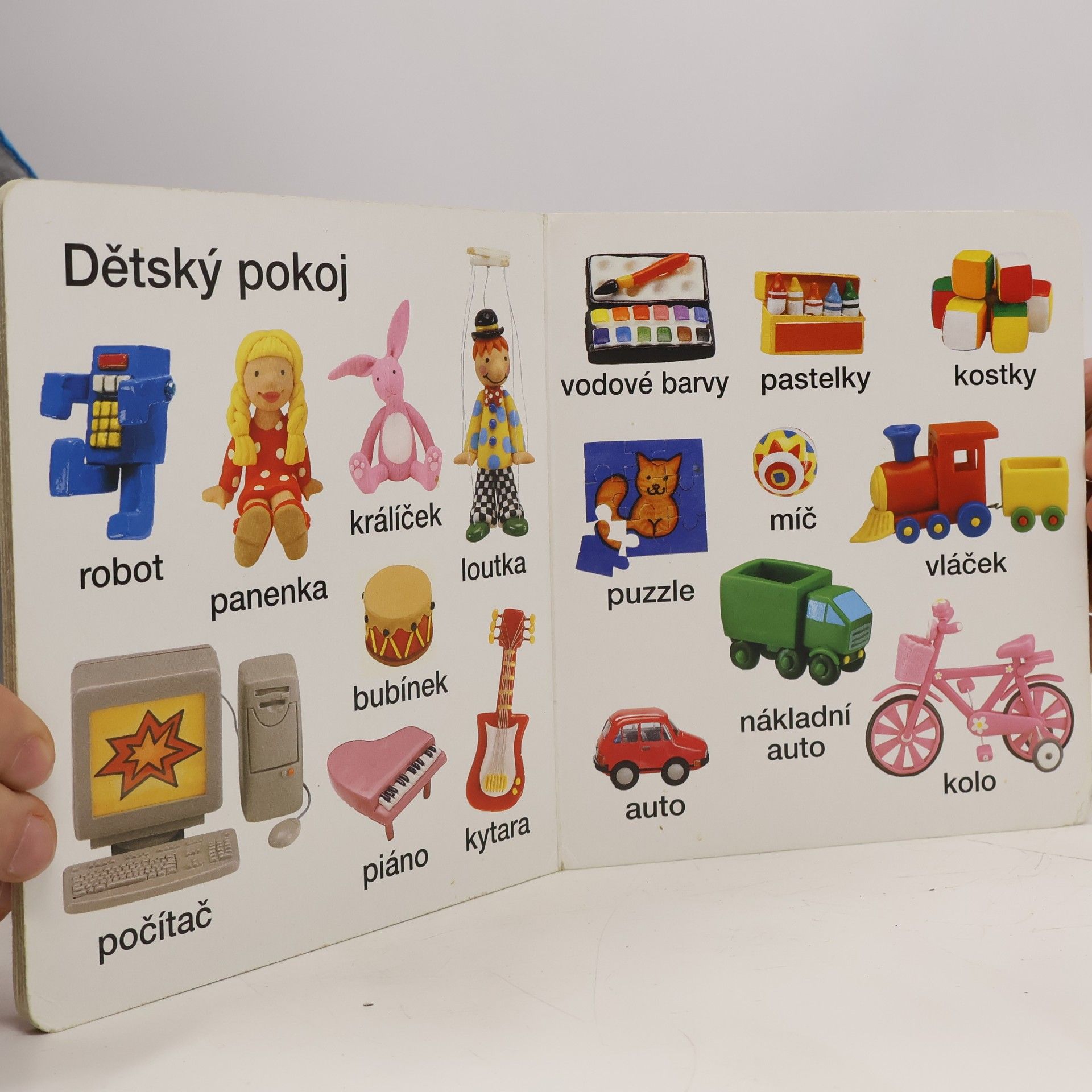 Jo Litchfield Doma. Moje první knížka