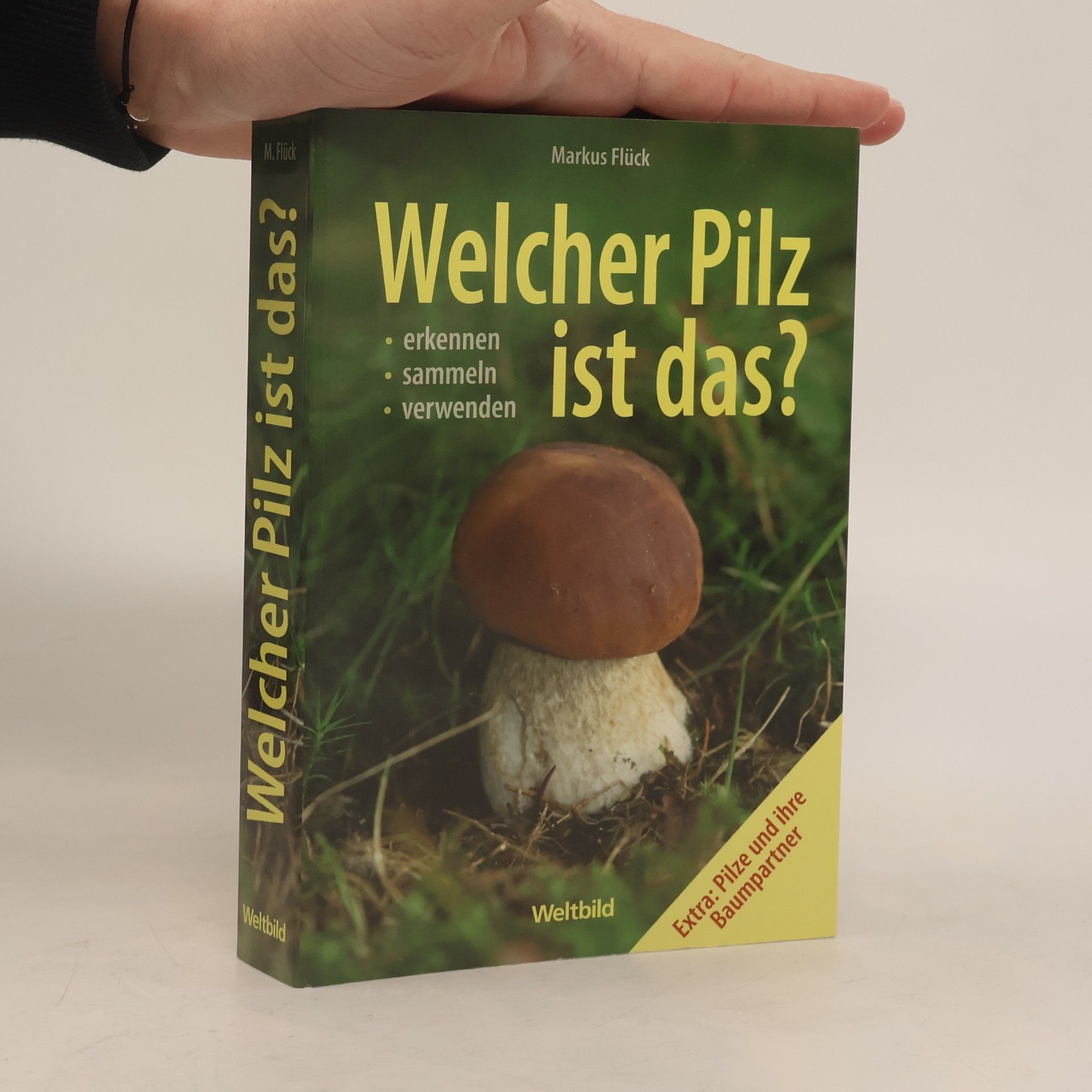 Markus Flück Welcher Pilz ist das?