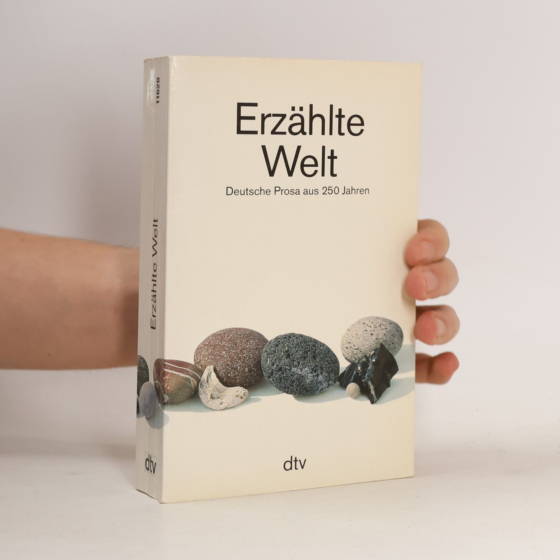 Erzählte Welt
