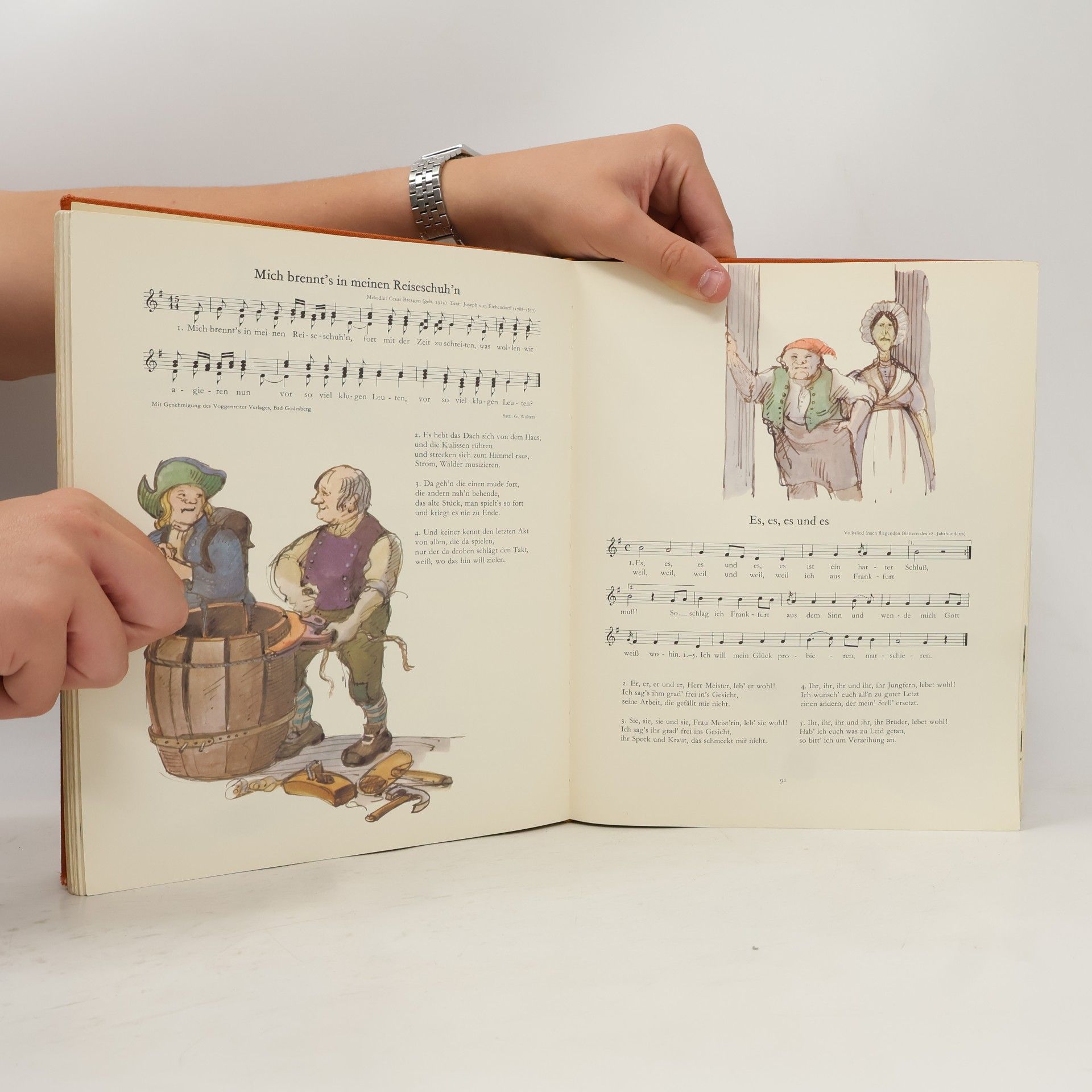 Kolektiv autorů Das große Liederbuch