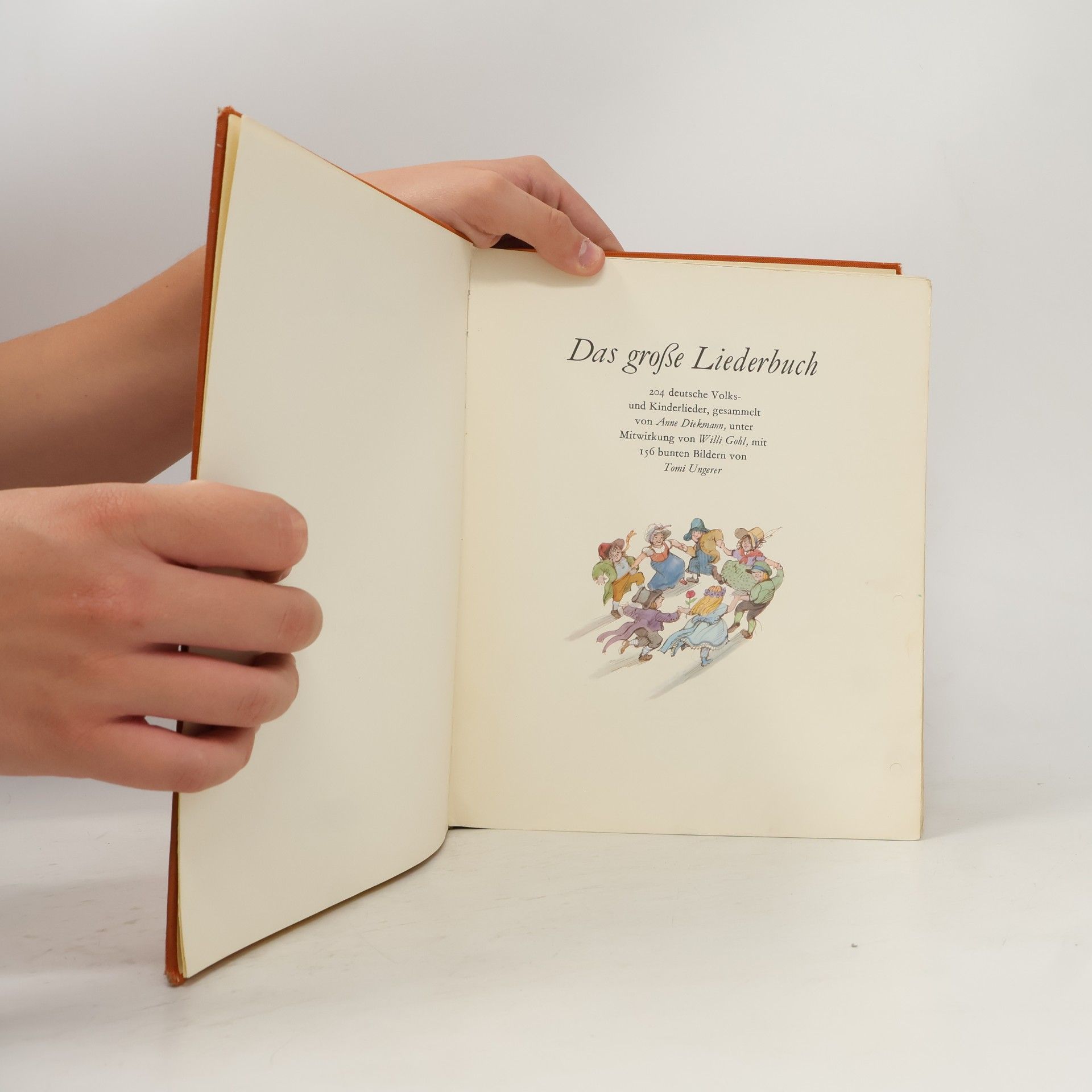 Kolektiv autorů Das große Liederbuch