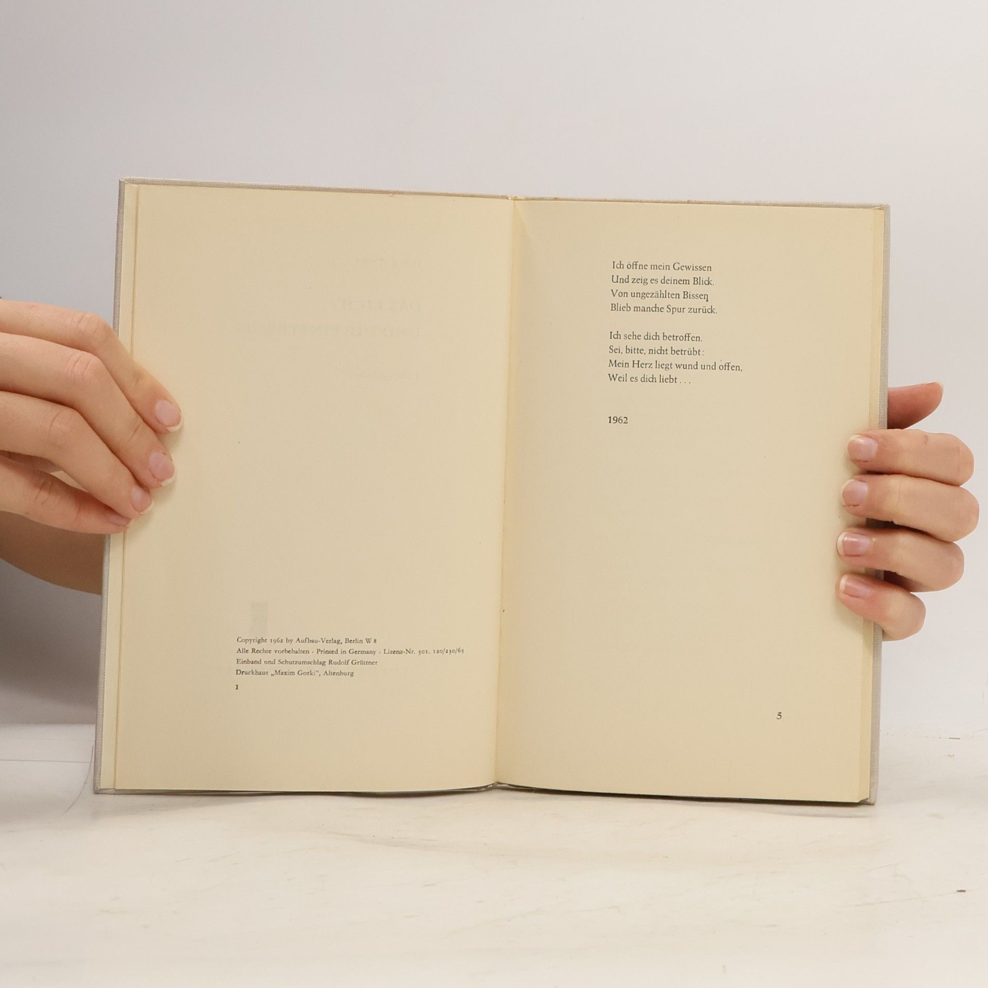 Jens Gerlach Das Licht und die Finsternis