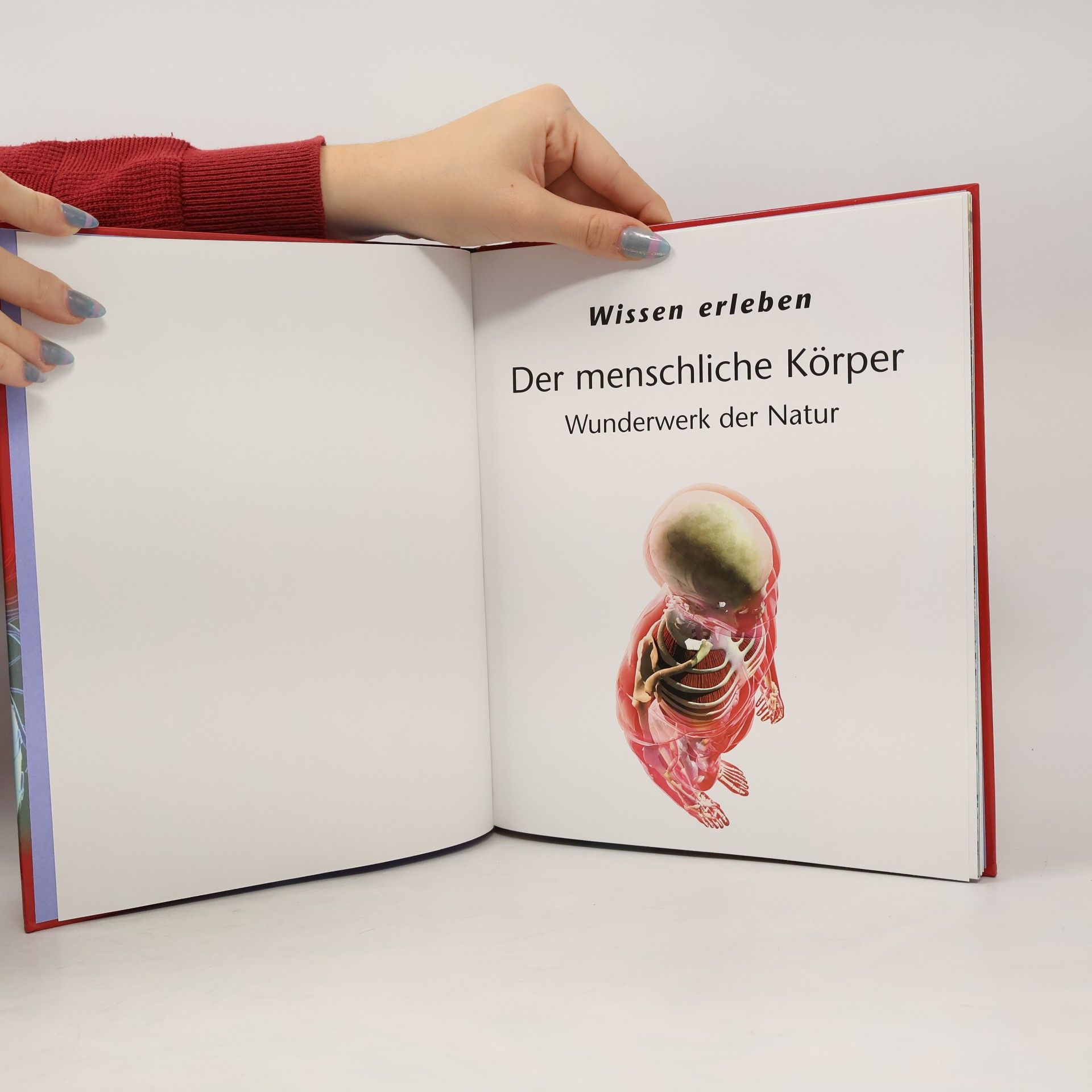 Richard Walker Der menschliche Körper