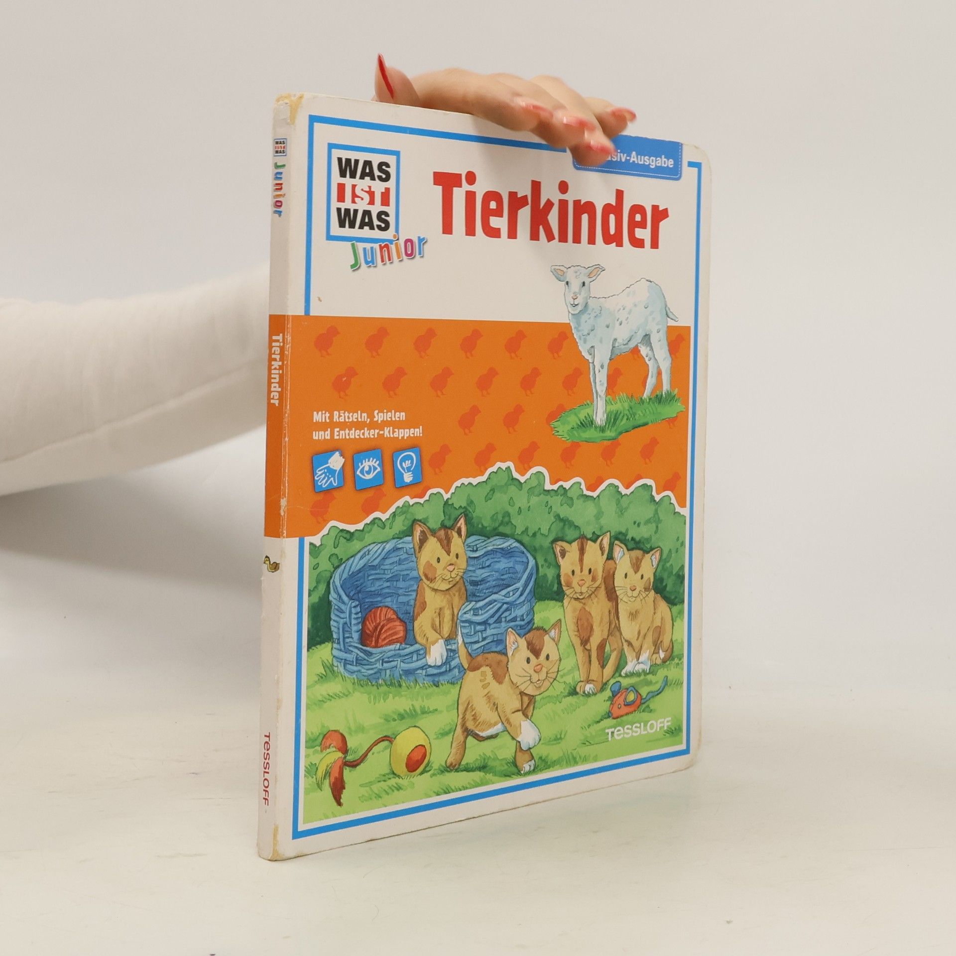 Autorenkollektiv Tierkinder