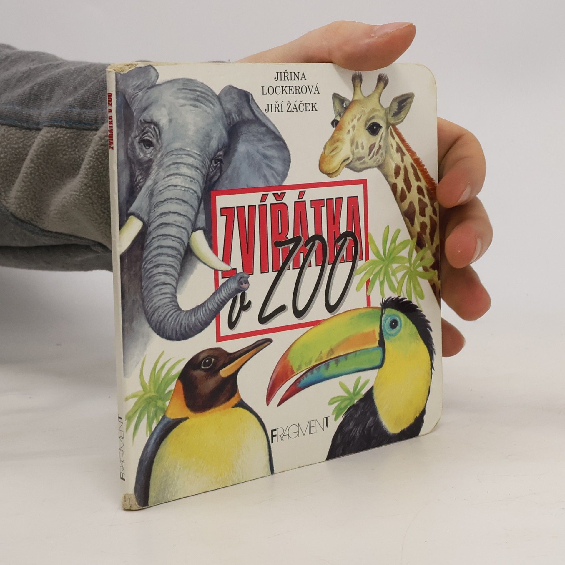 Zvířátka v ZOO