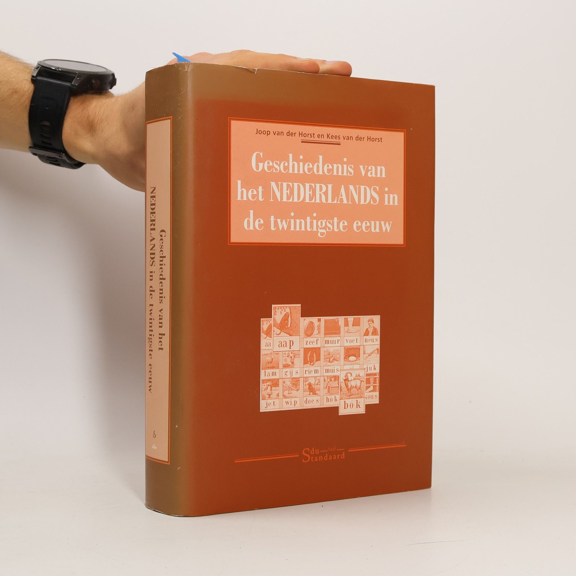 Geschiedenis van het Nederlands in de twintigste eeuw