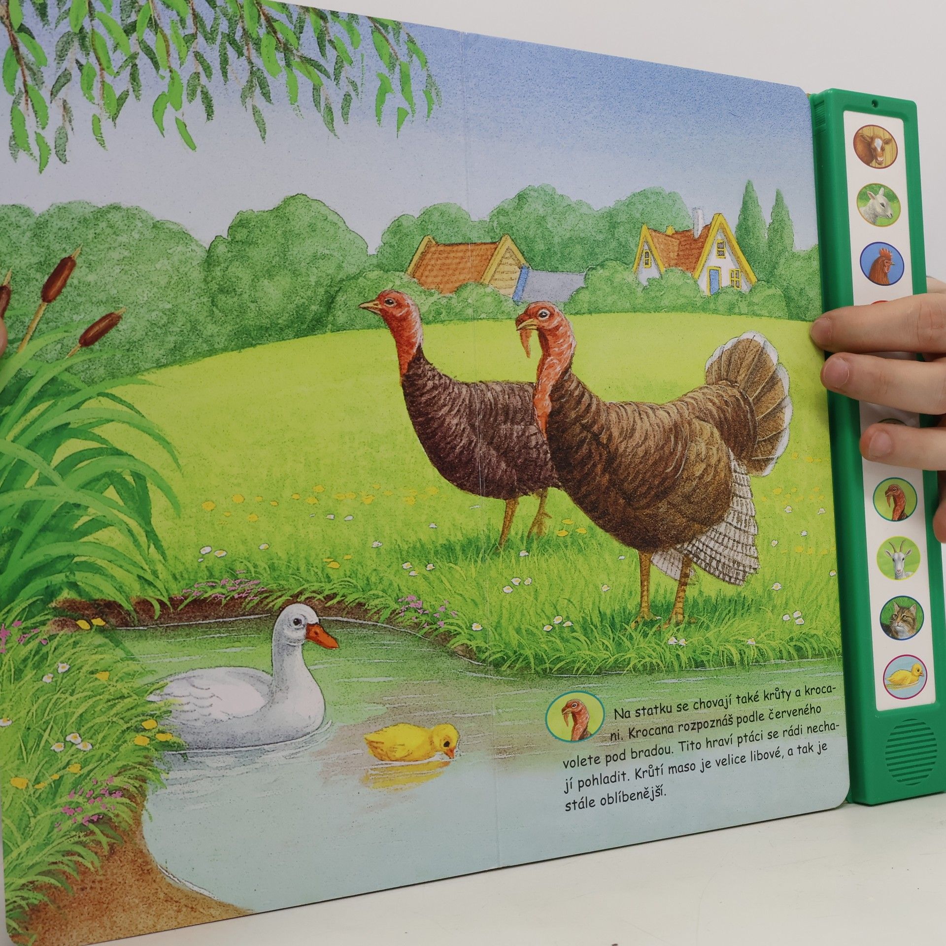 Kolektiv autorů Moje zvuková knížka: Zvířátka na statku