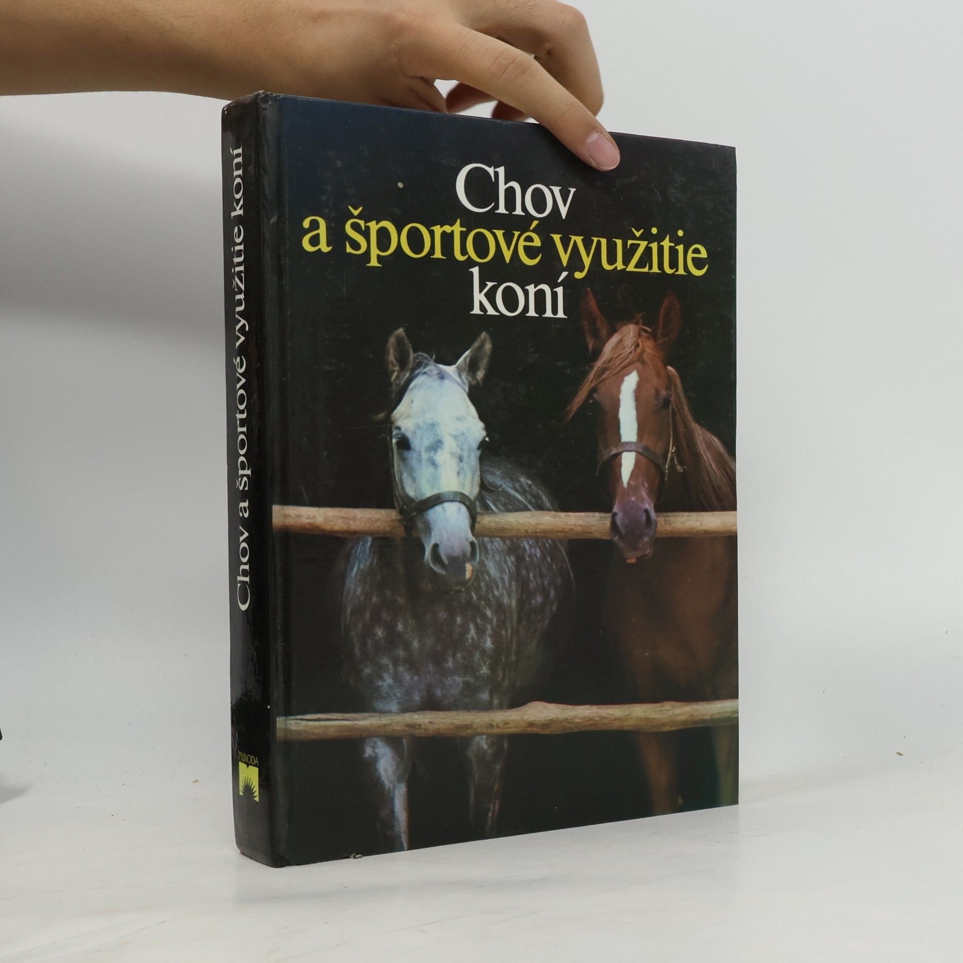 Chov a športové využitie koní