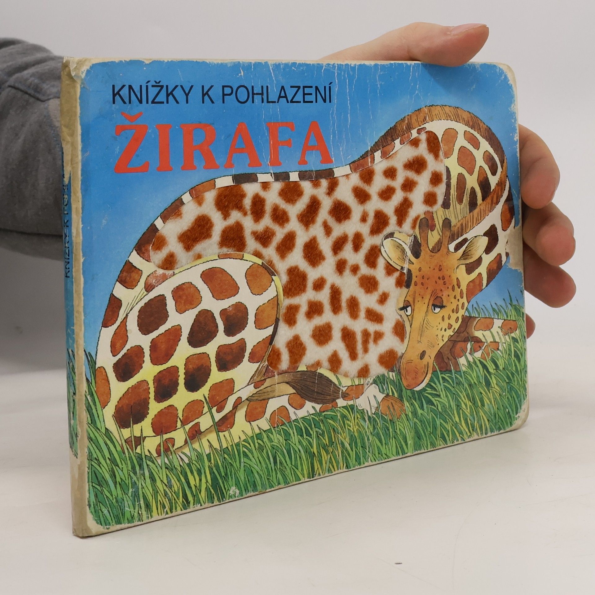 Žirafa