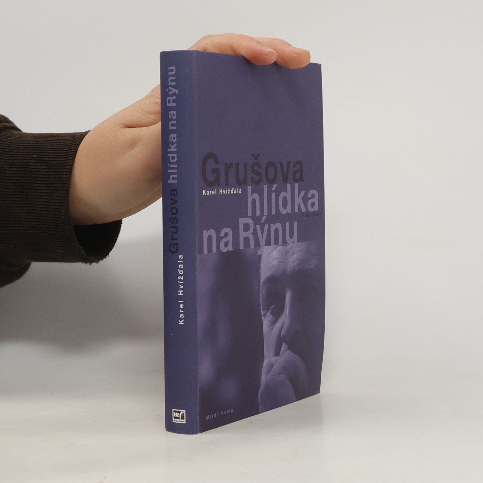 Grušova hlídka na Rýnu: Rozhovory z let 1983-2011