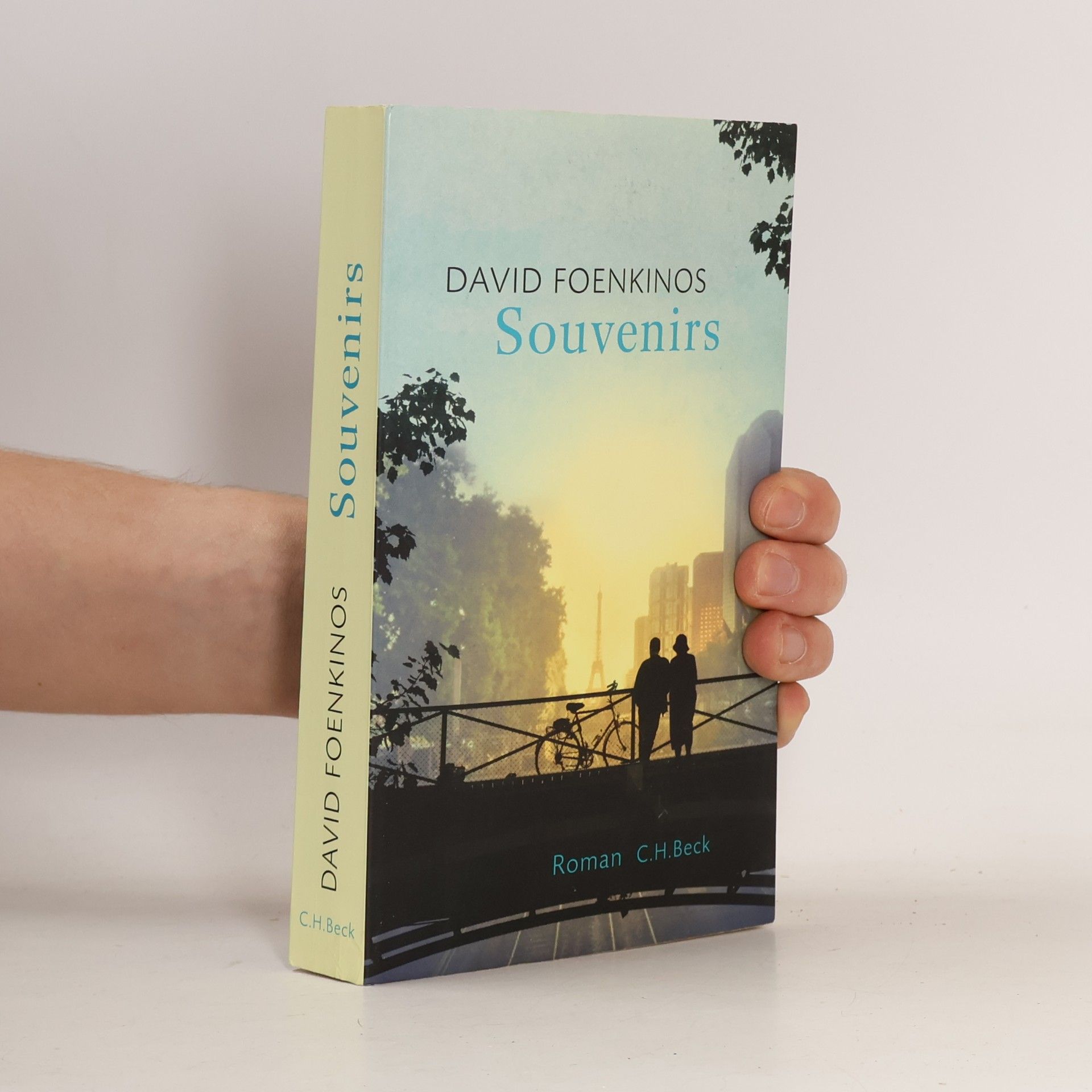 David Foenkinos Souvenirs