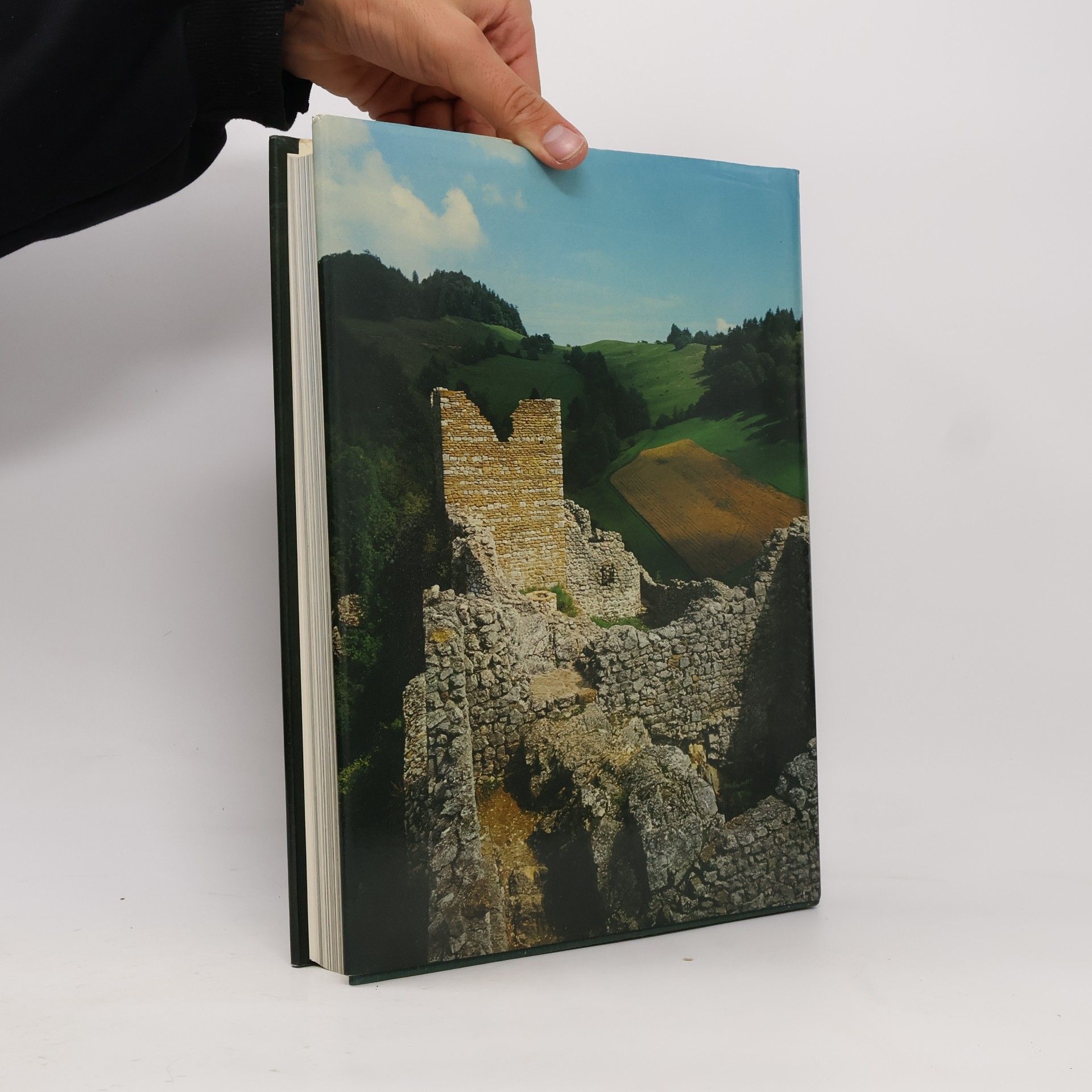 Werner Meyer-Larsen Das grosse Burgenbuch der Schweiz