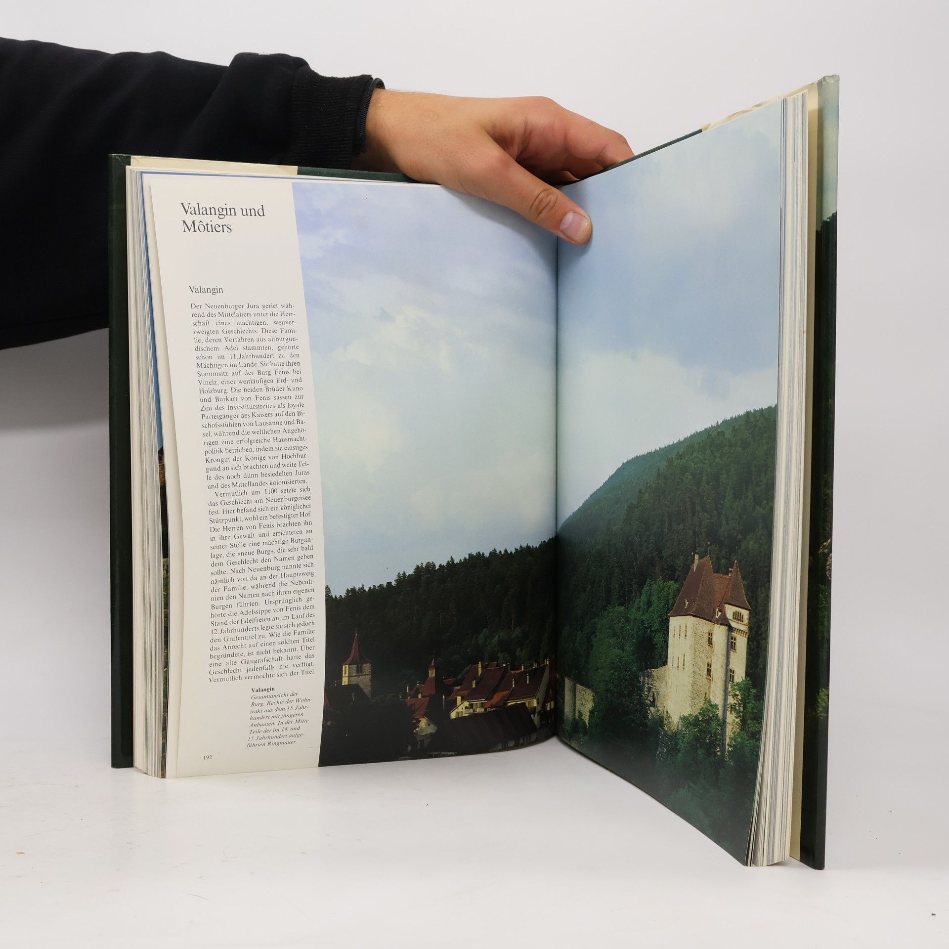 Werner Meyer-Larsen Das grosse Burgenbuch der Schweiz