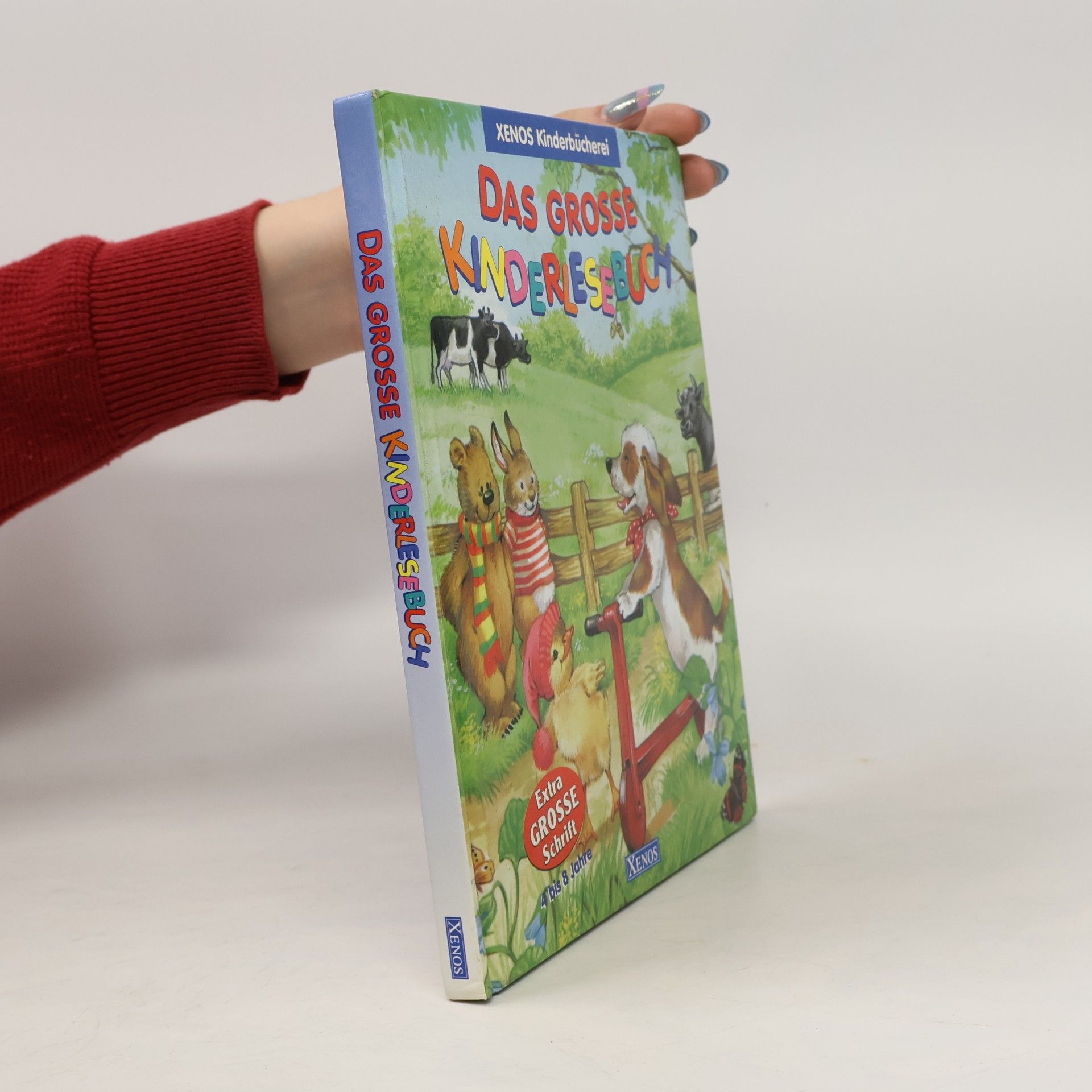 Xenos Kinderbücherei: Das grosse Kinderlesebuch