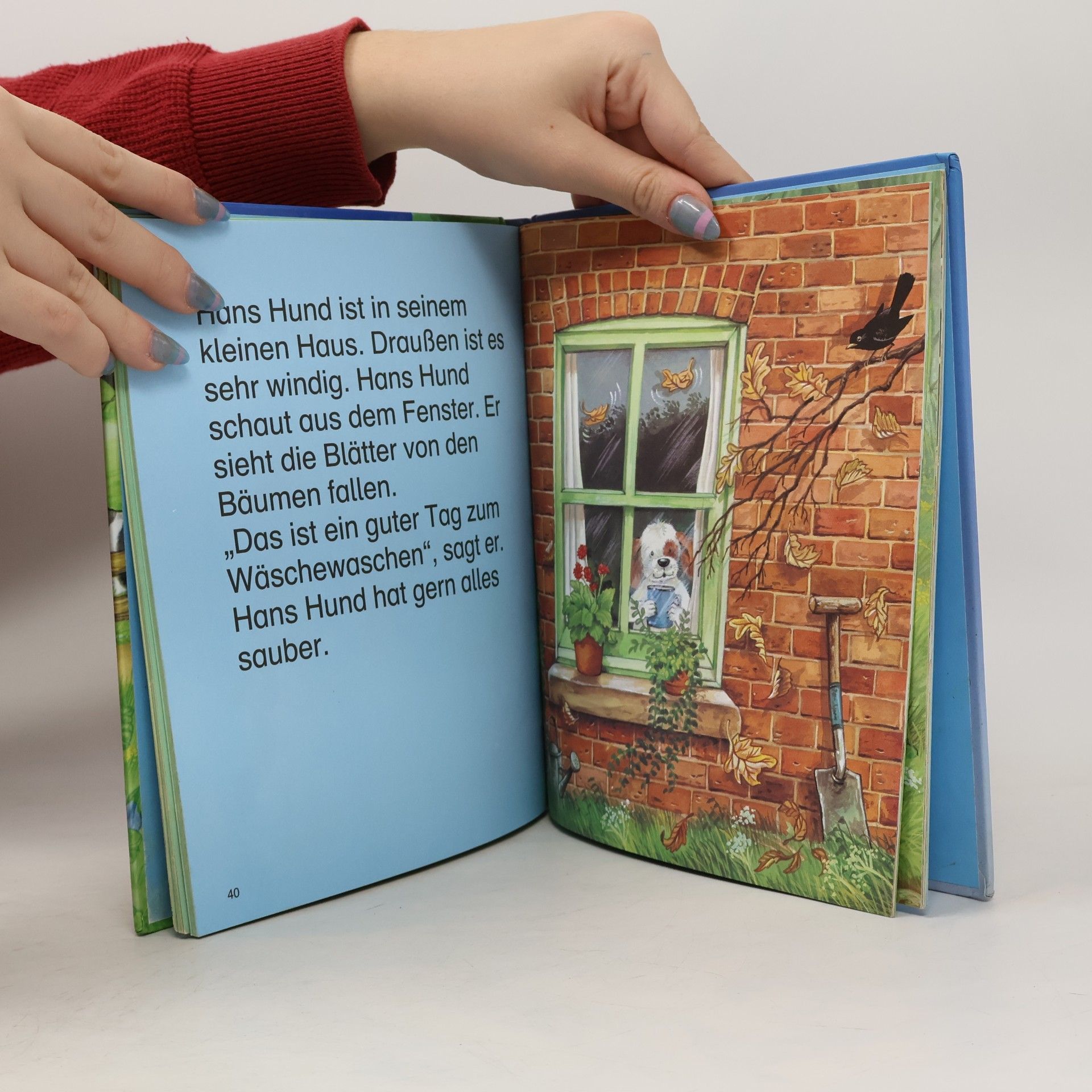 Pamela Storey Xenos Kinderbücherei: Das grosse Kinderlesebuch