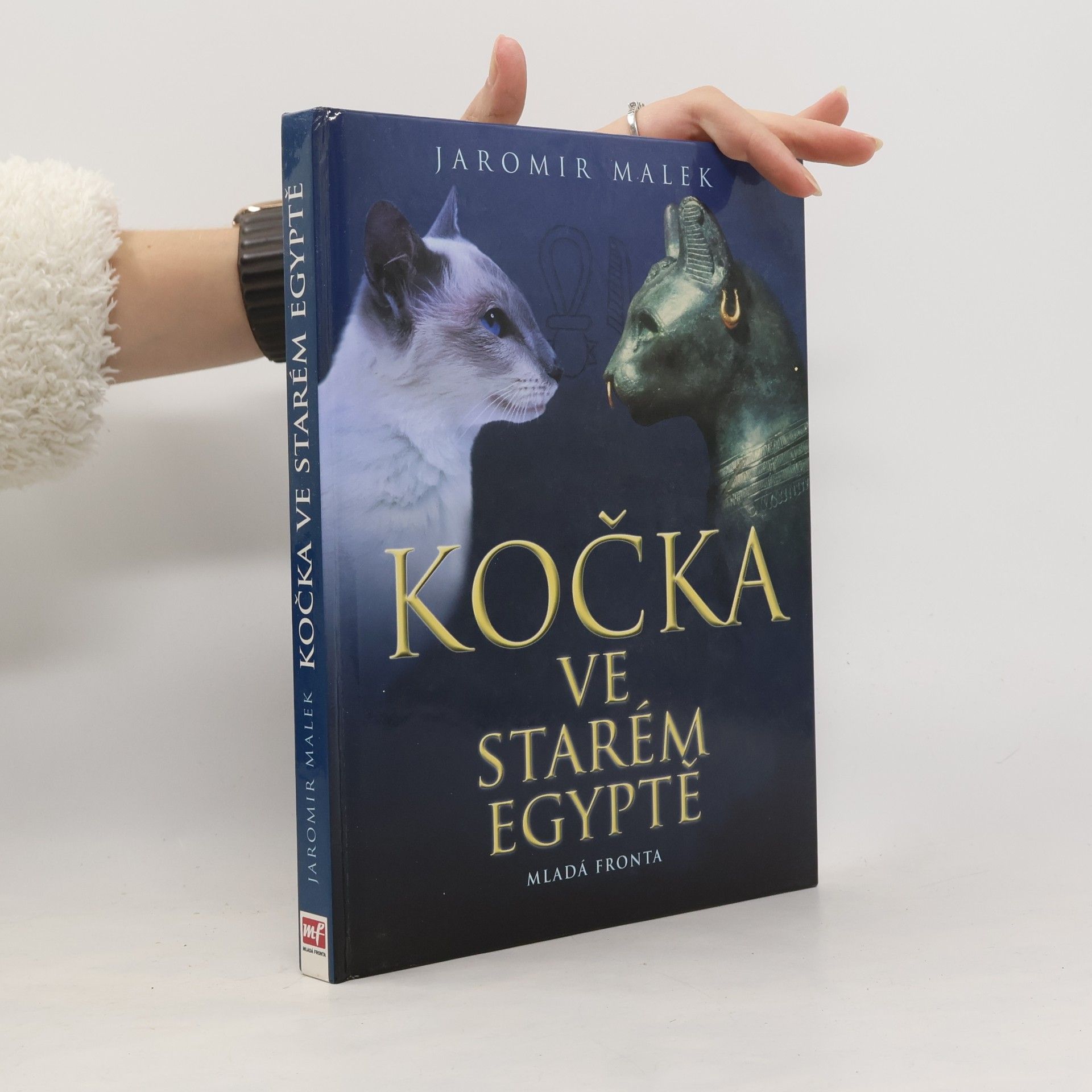 Kočka ve starém Egyptě