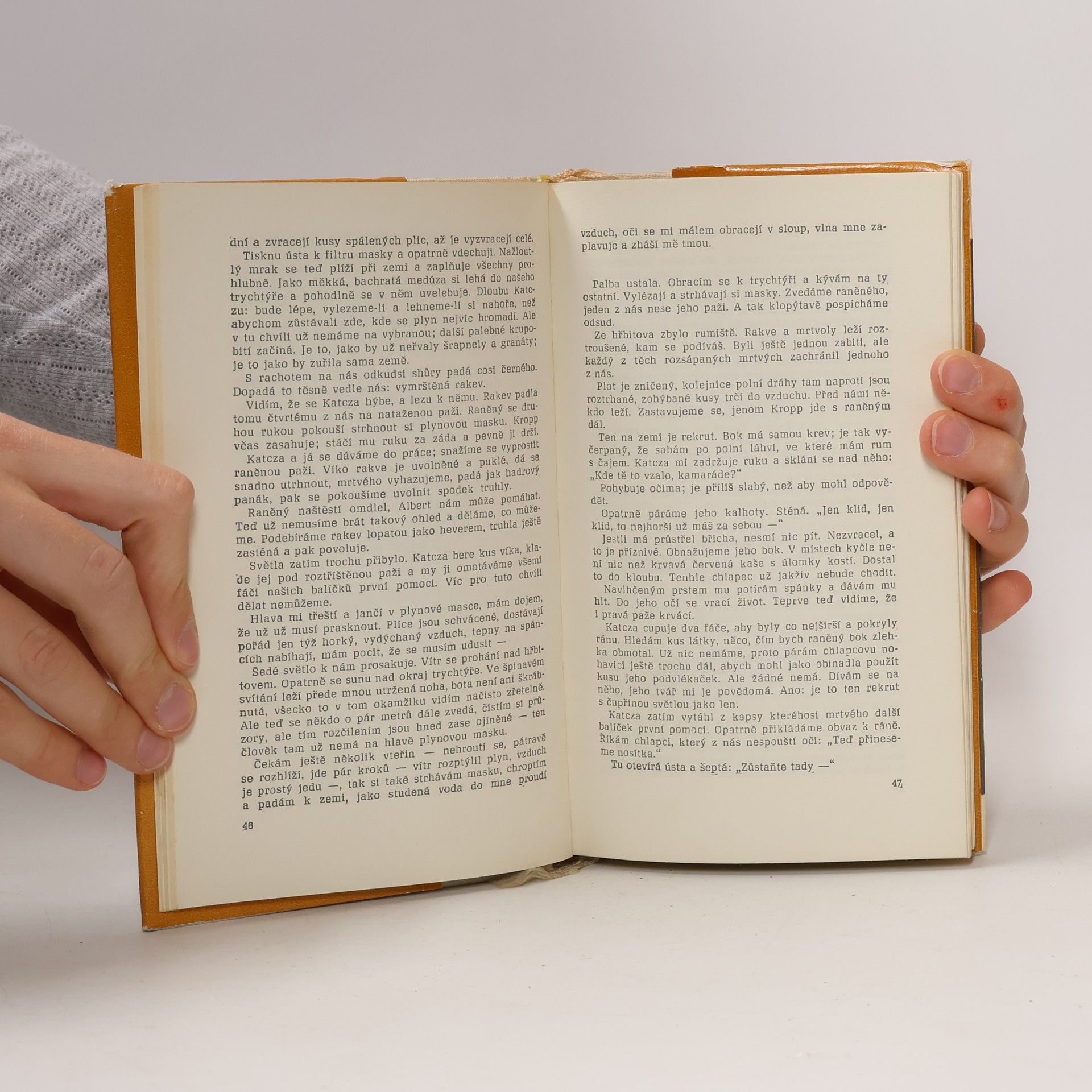 Erich Maria Remarque Na západní frontě klid