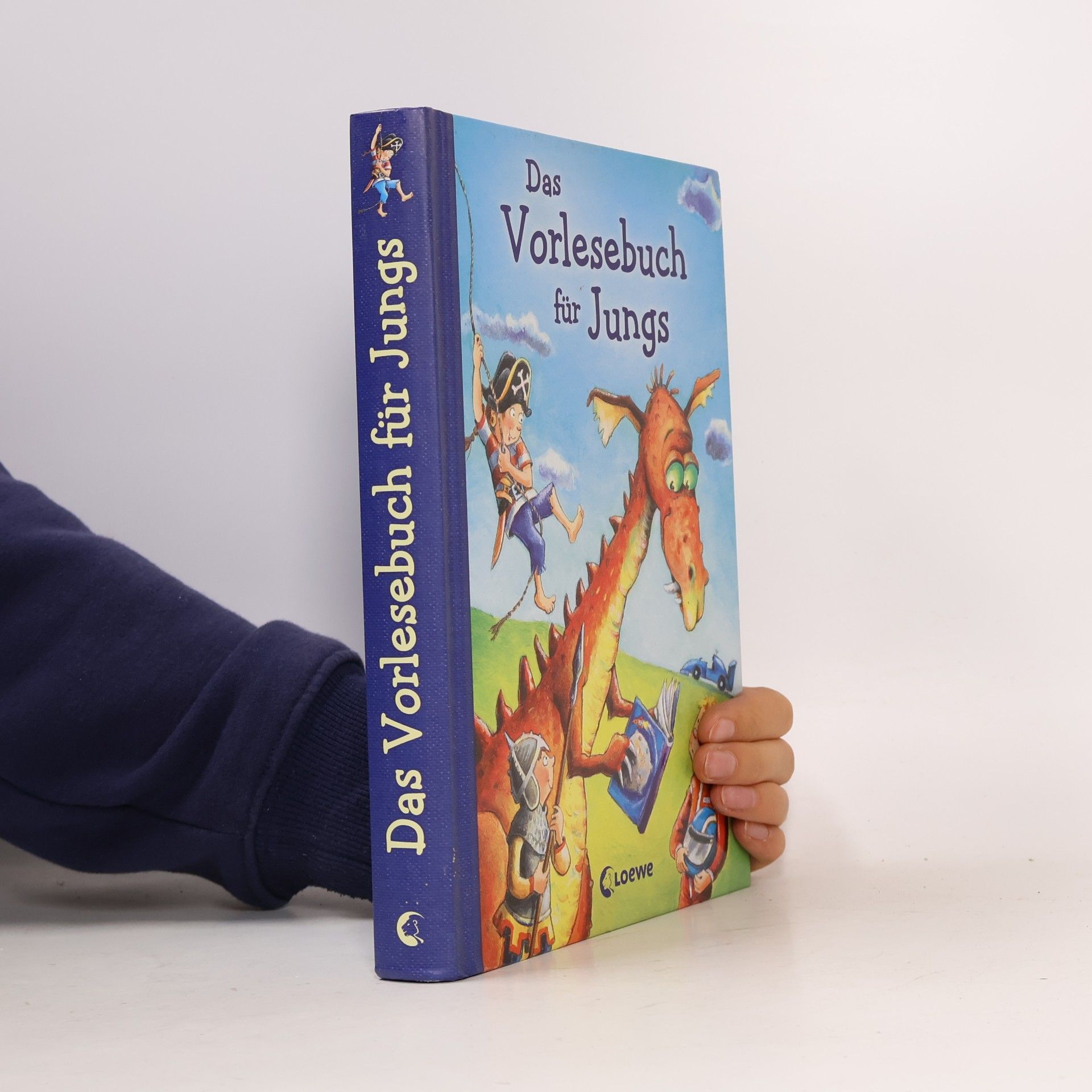 Das Vorlesebuch für Jungs