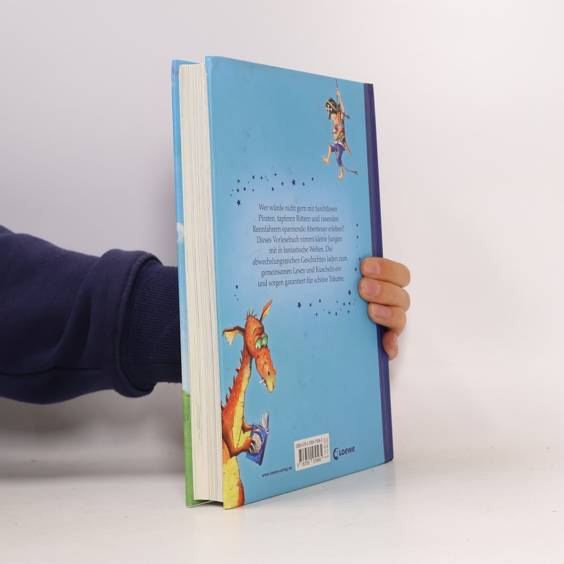 Das Vorlesebuch für Jungs