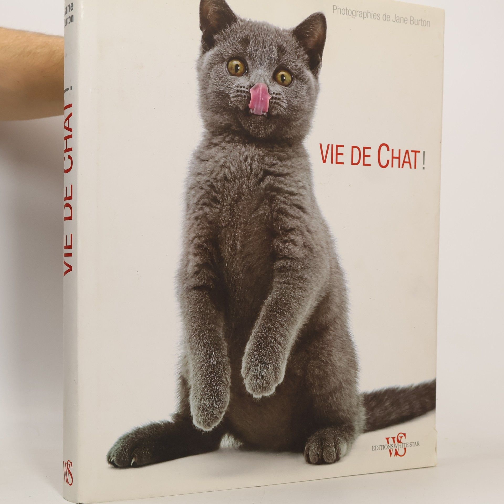 Vie de chat!